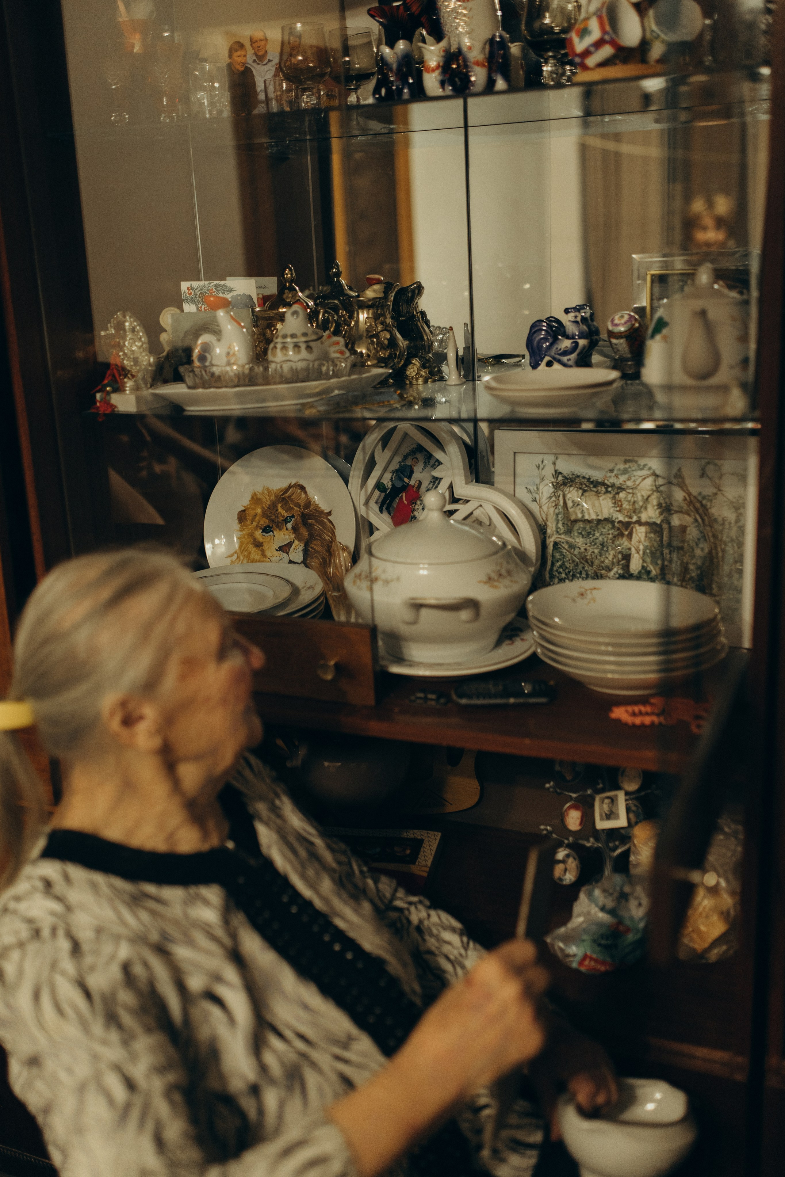 Домашняя история. Meryfotoidea