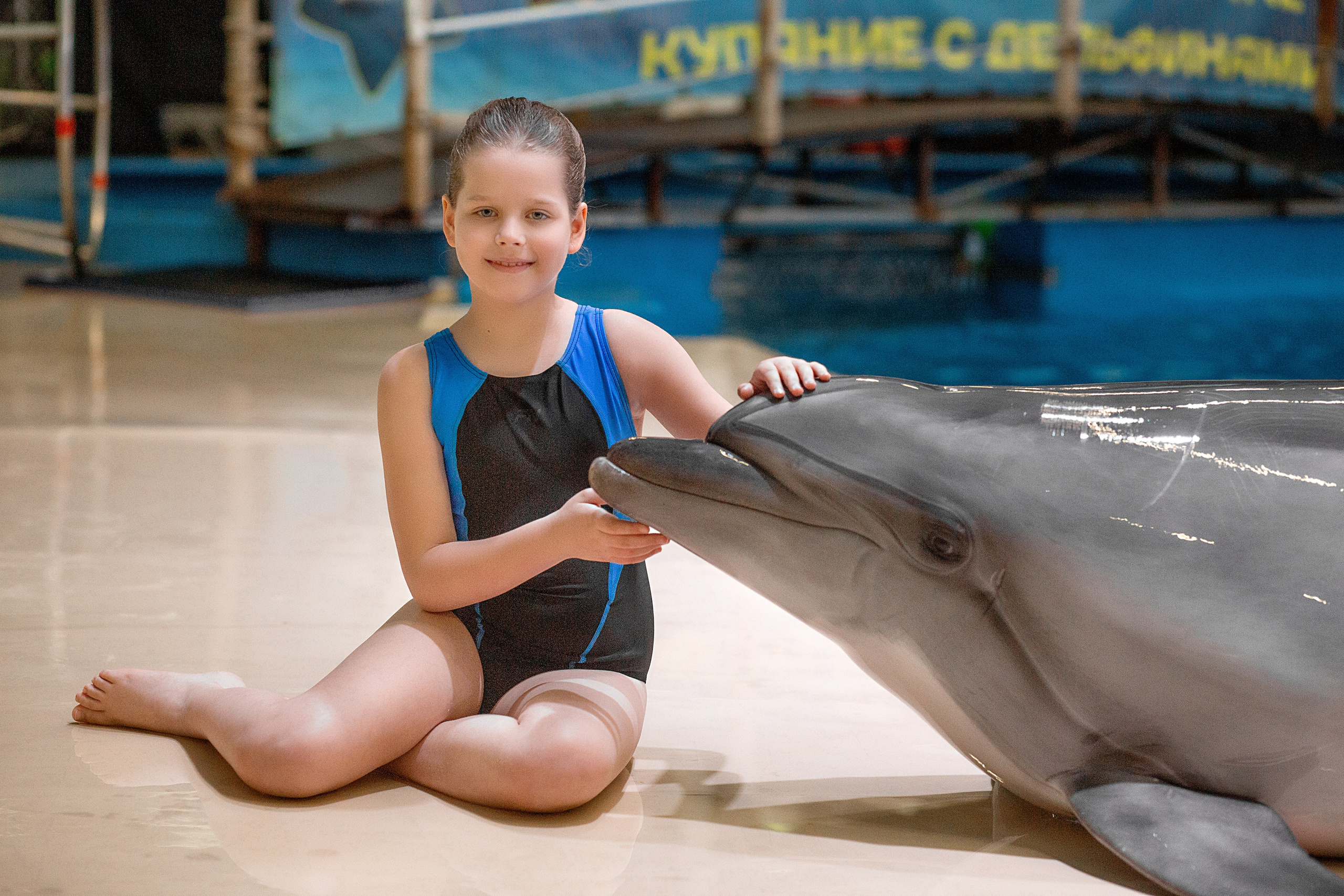 Фотосессия с дельфинами. Фотосессия с лошадьми в Нижнем Новгороде