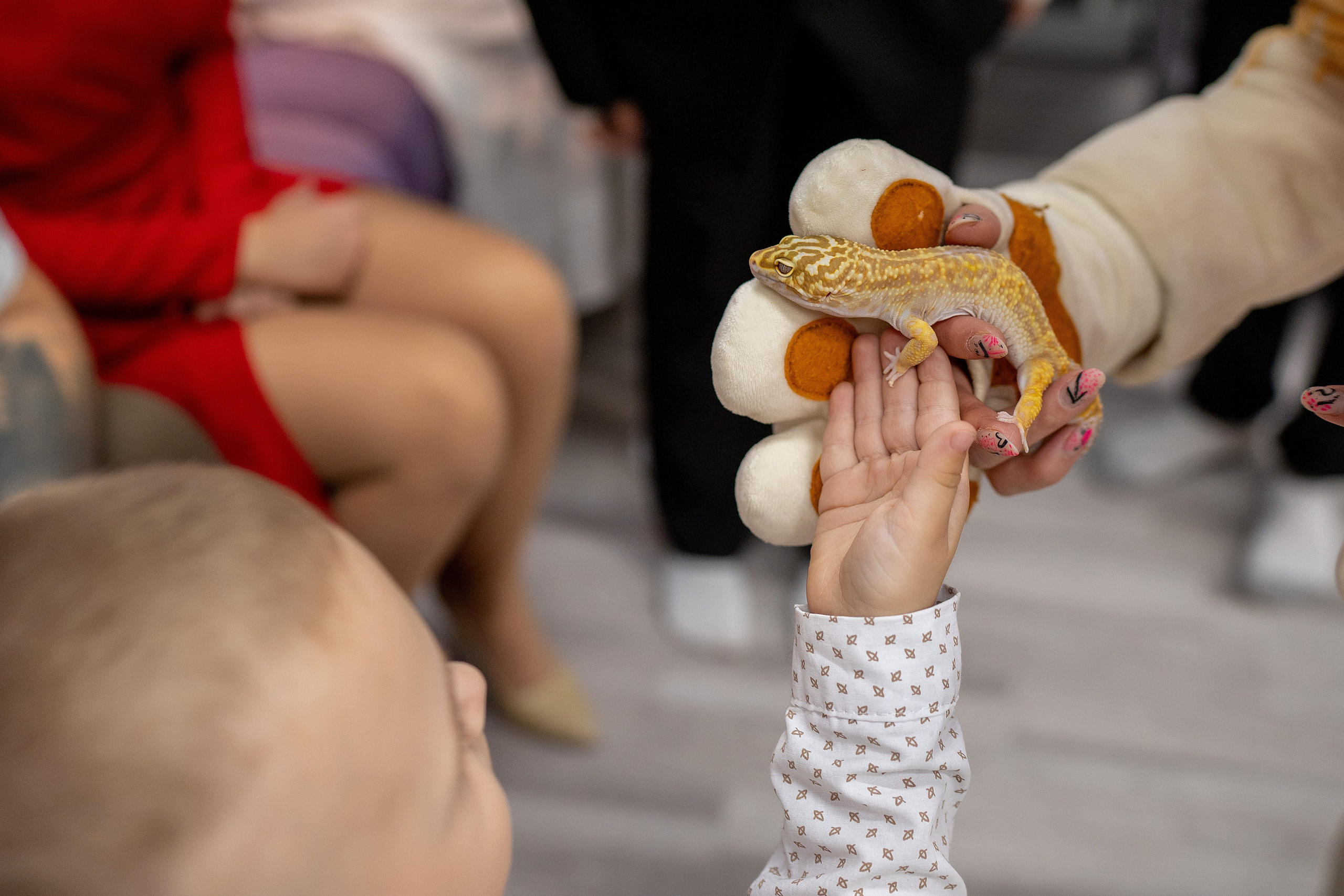 День рождения Матвея. Фотограф на Крещение и Венчание в Красноярске Рамазанова Юлия