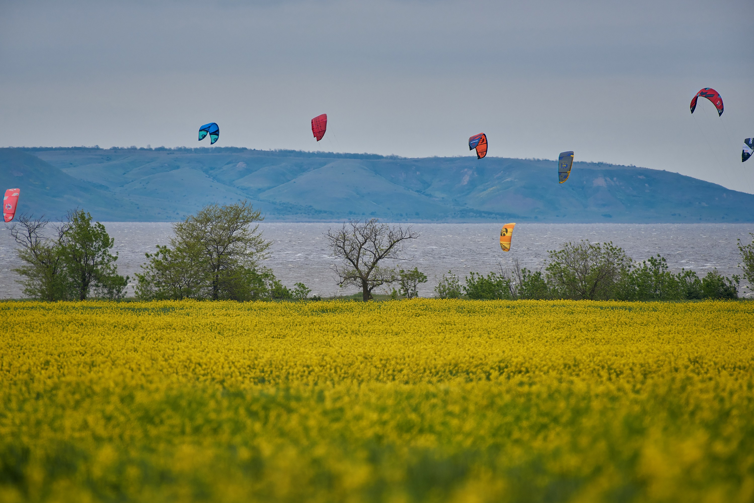 коса Голенькая, станица Благовещенская, Бугазский лиман, кайтинг