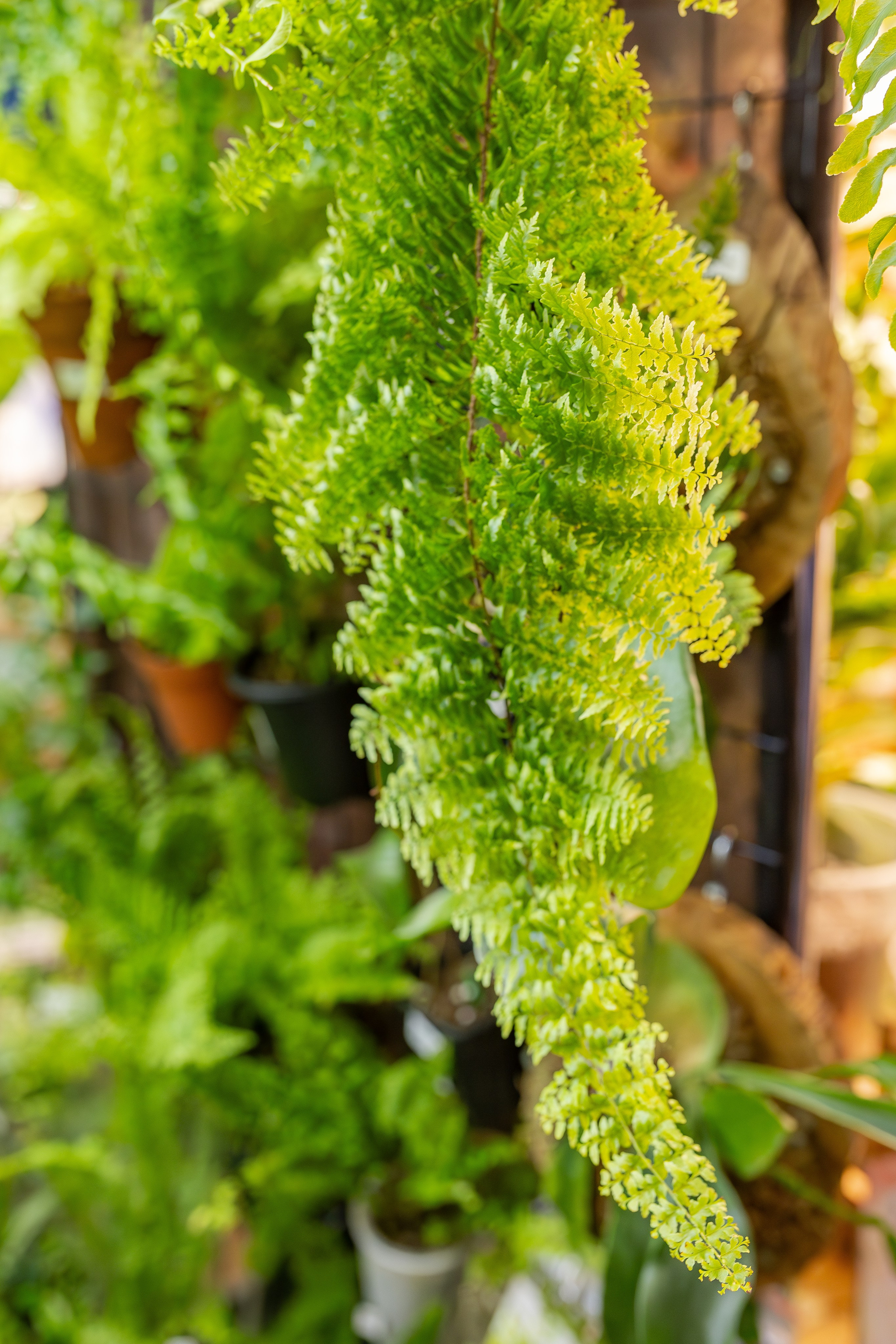 Монстериум апрель 2026. Александра Куликова фотограф, Москва