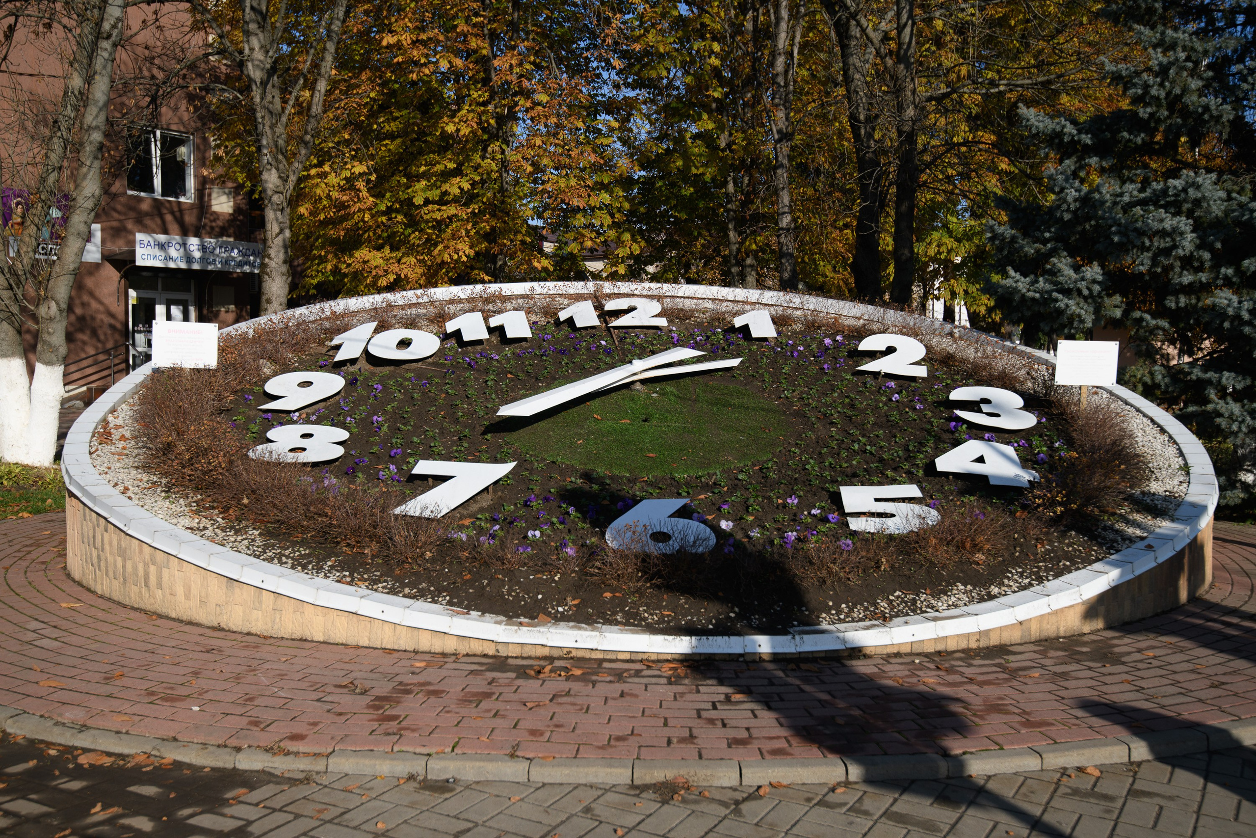 Кропоткин. Профессиональная фотосъемка. Ростов-на-Дону