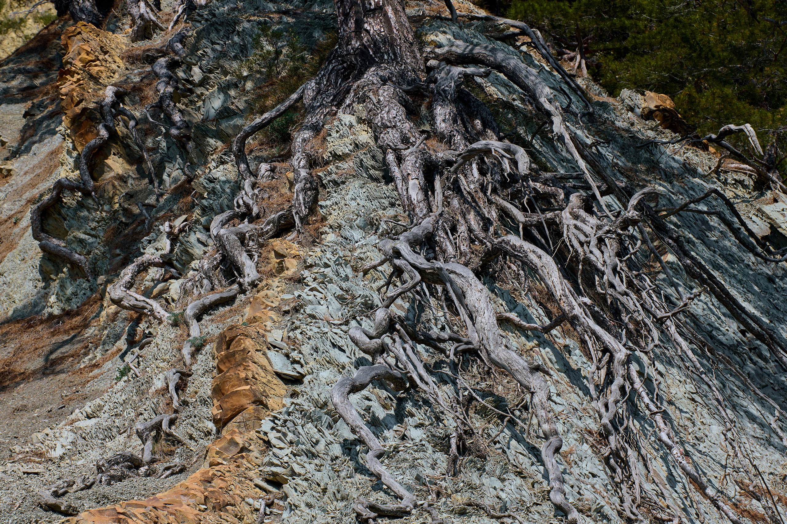 Геленджикский район, Краснодарский край, Кавказ, Черное море, скалы, горы, сосны, пляж