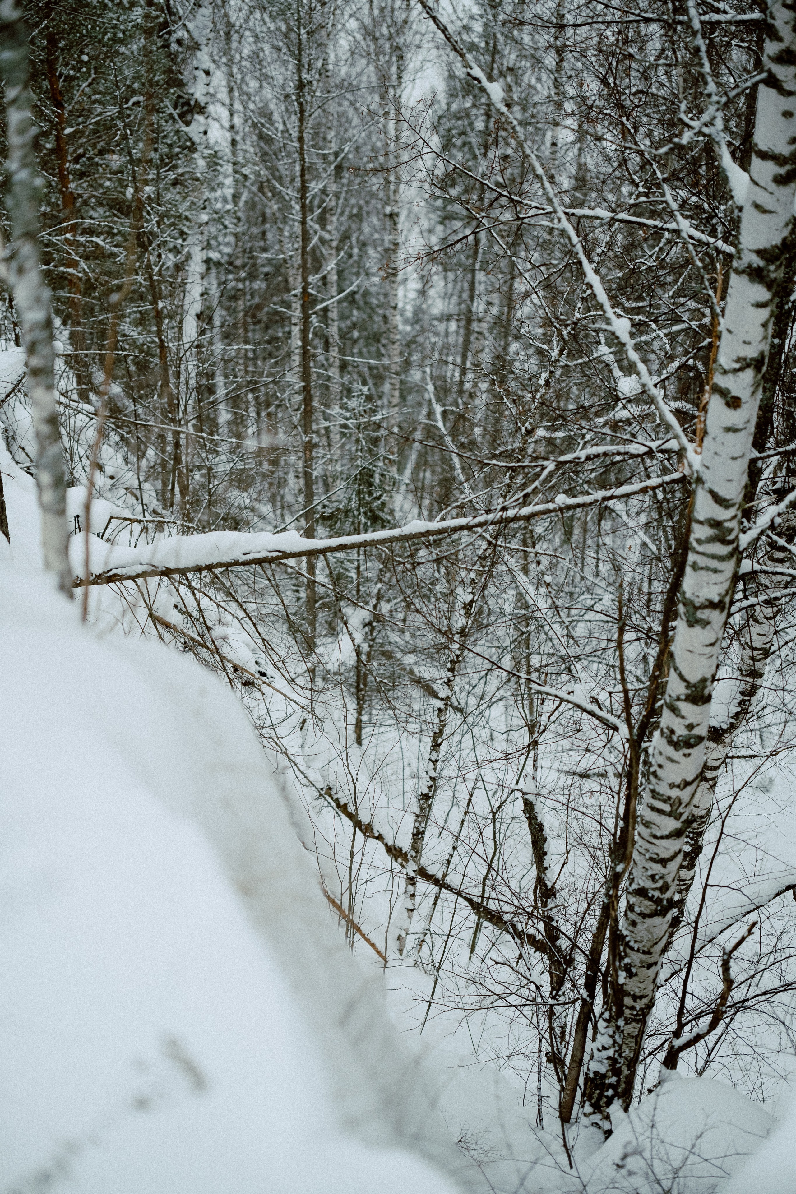 Обо мне. Anastasia N | Фотограф Челябинск