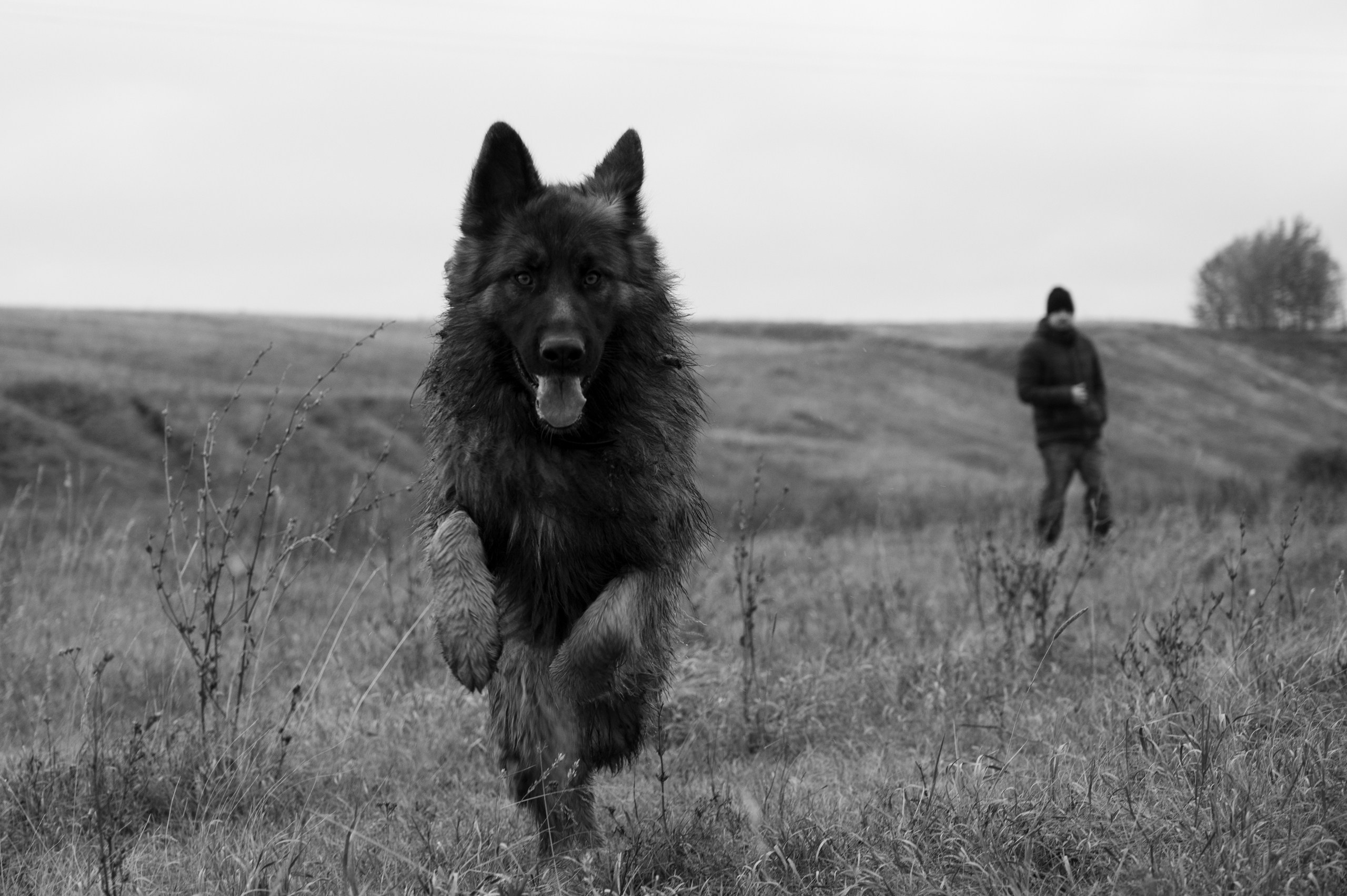 Земля предков. Фотограф Мария Усманова, Казань