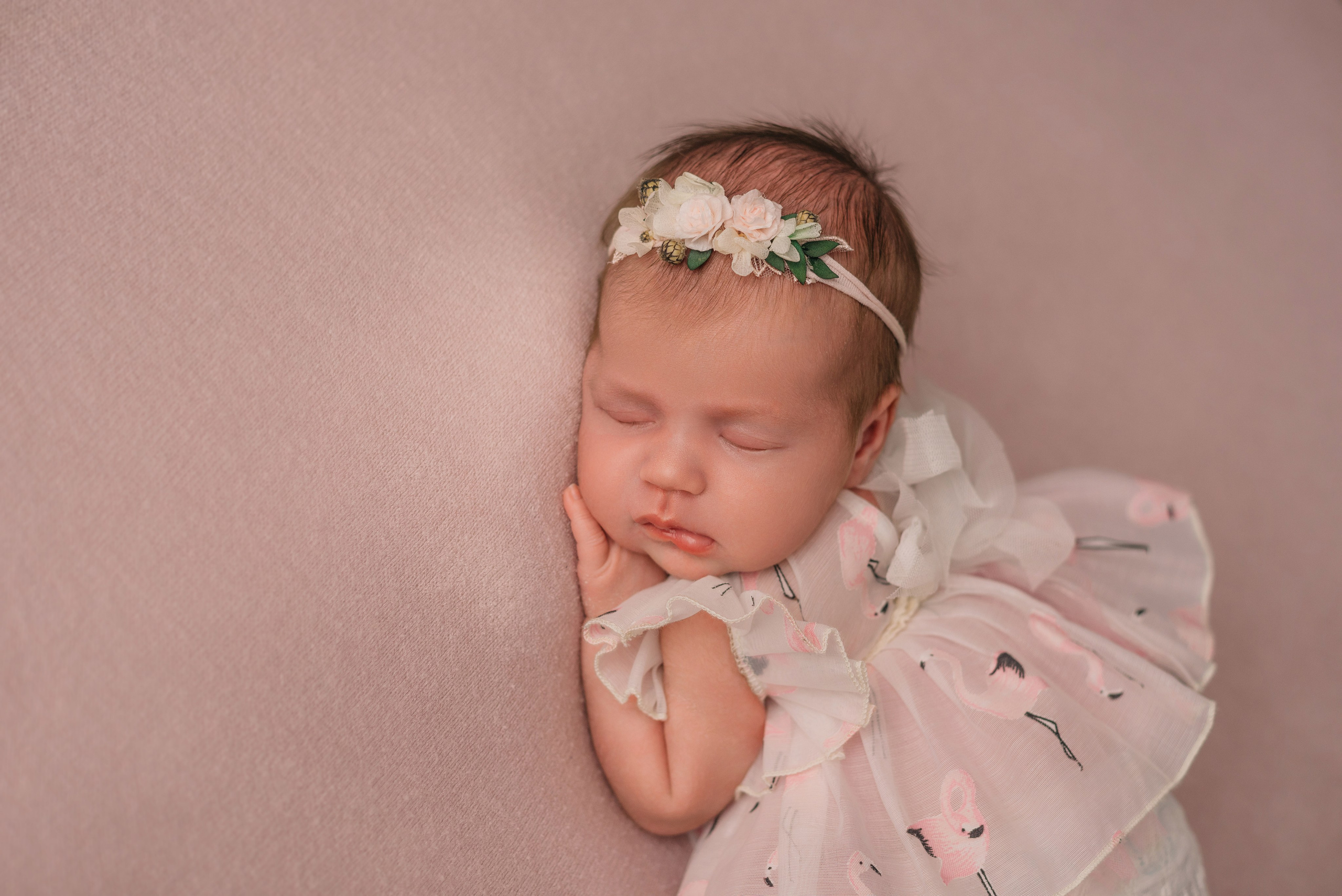 Амелия. Фотограф новорожденных Белгород