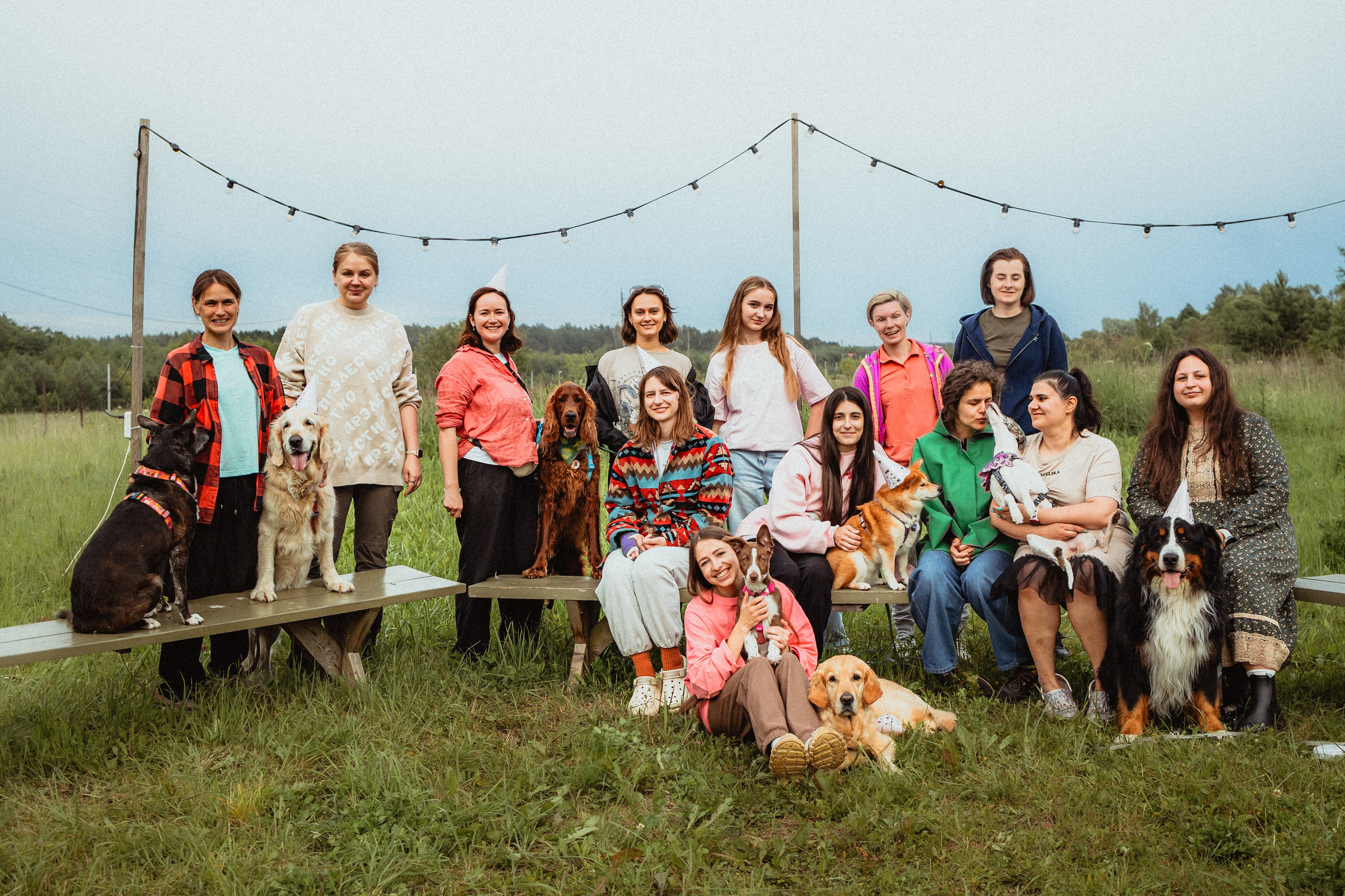 Выездной дог-тренинг от школы «Шерсть имею»