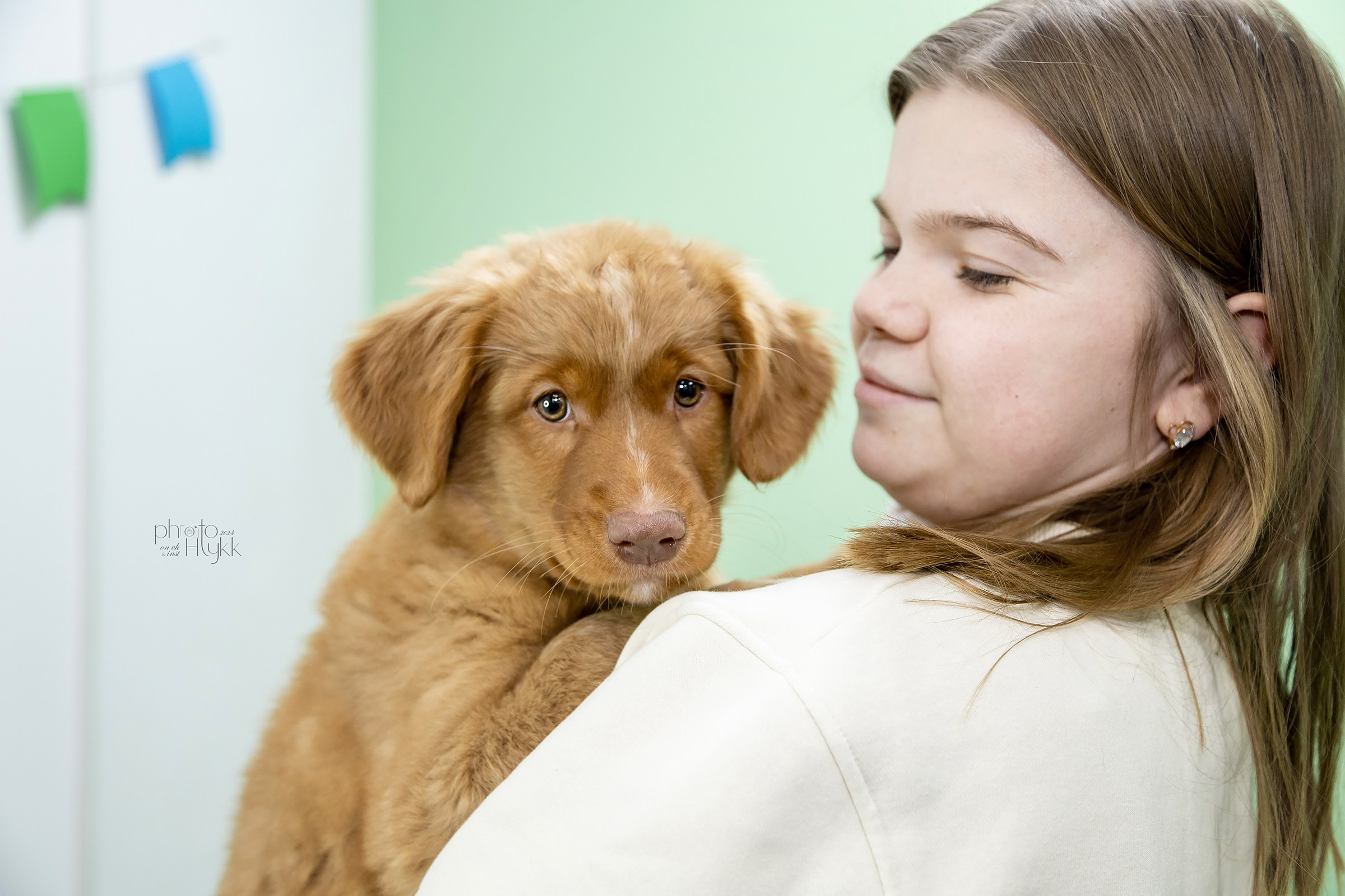 Щенки Толлера. Htykk_photo