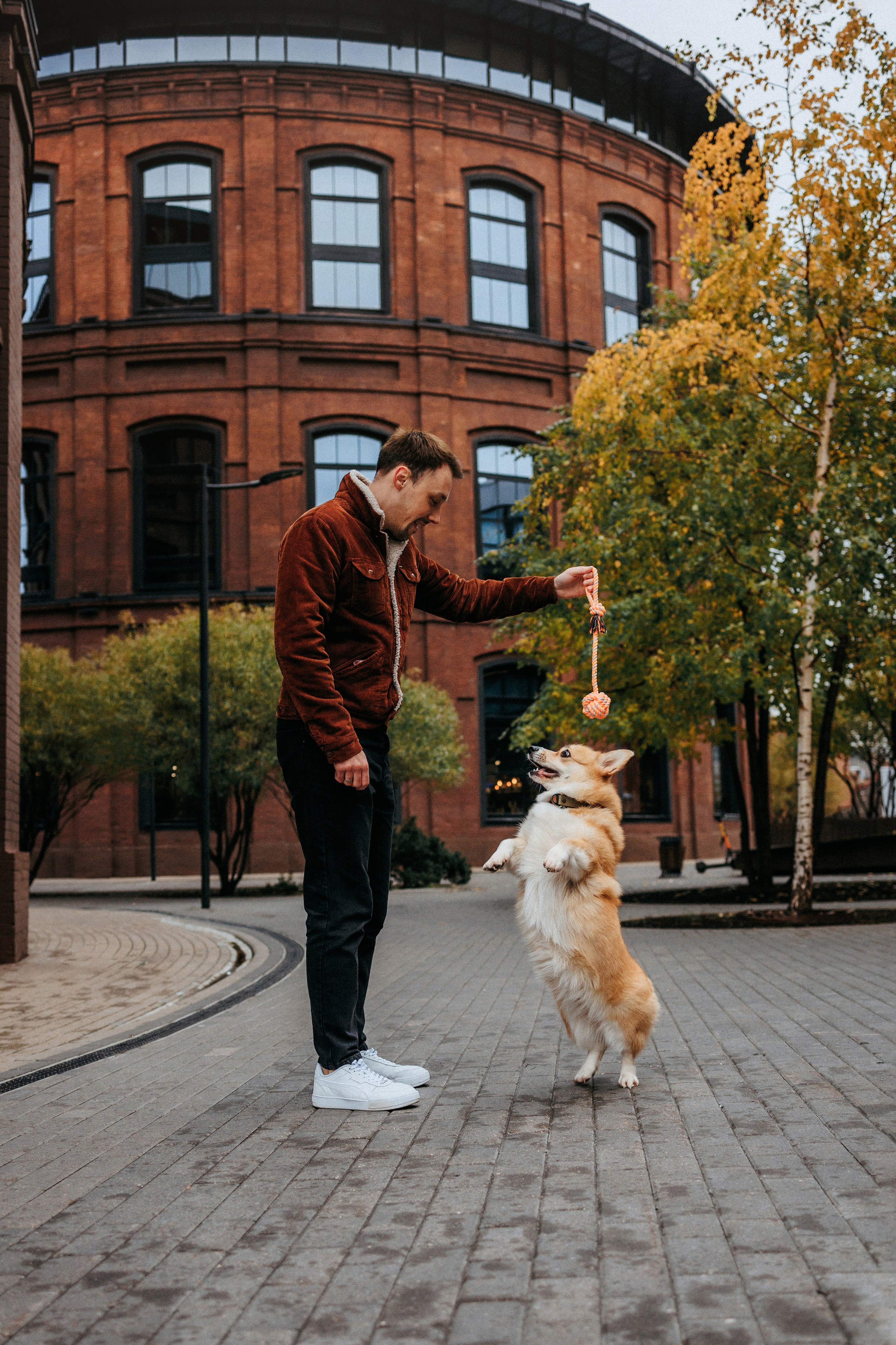 Вера, Саша и Муна. Фотограф-анималист Елена Радченко, Москва