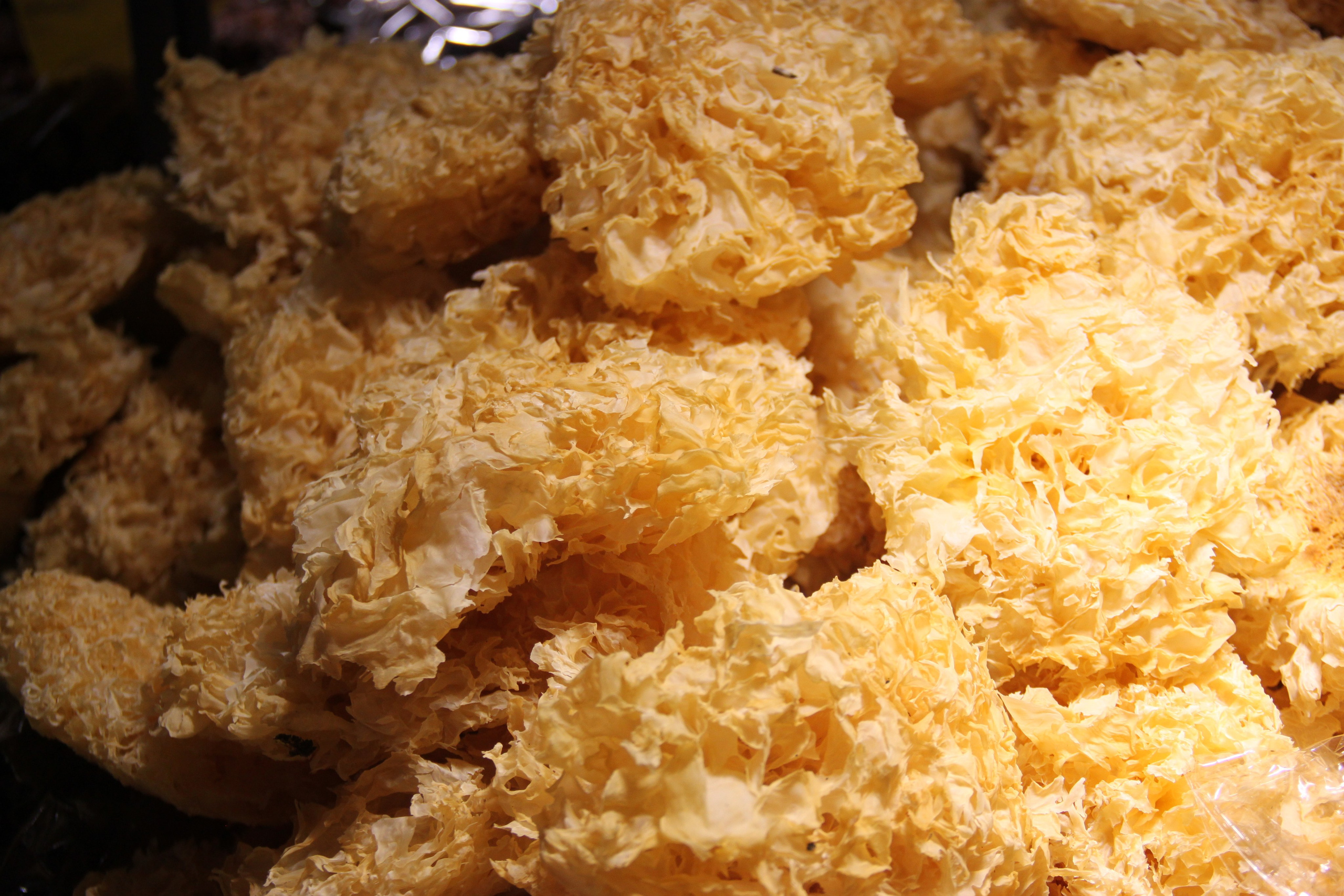 Shanghai, China. Andrey Filippov Photographer