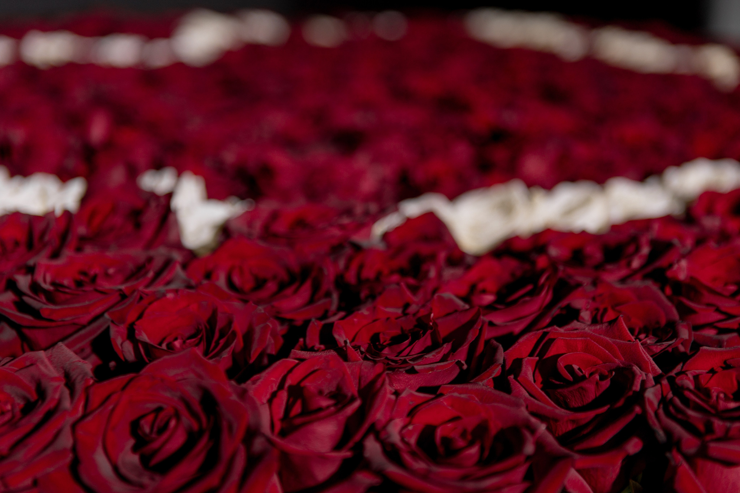 Илья и Наталья. Свадебный фотограф Ксения Трухина в Нижнем Новгороде и Москве