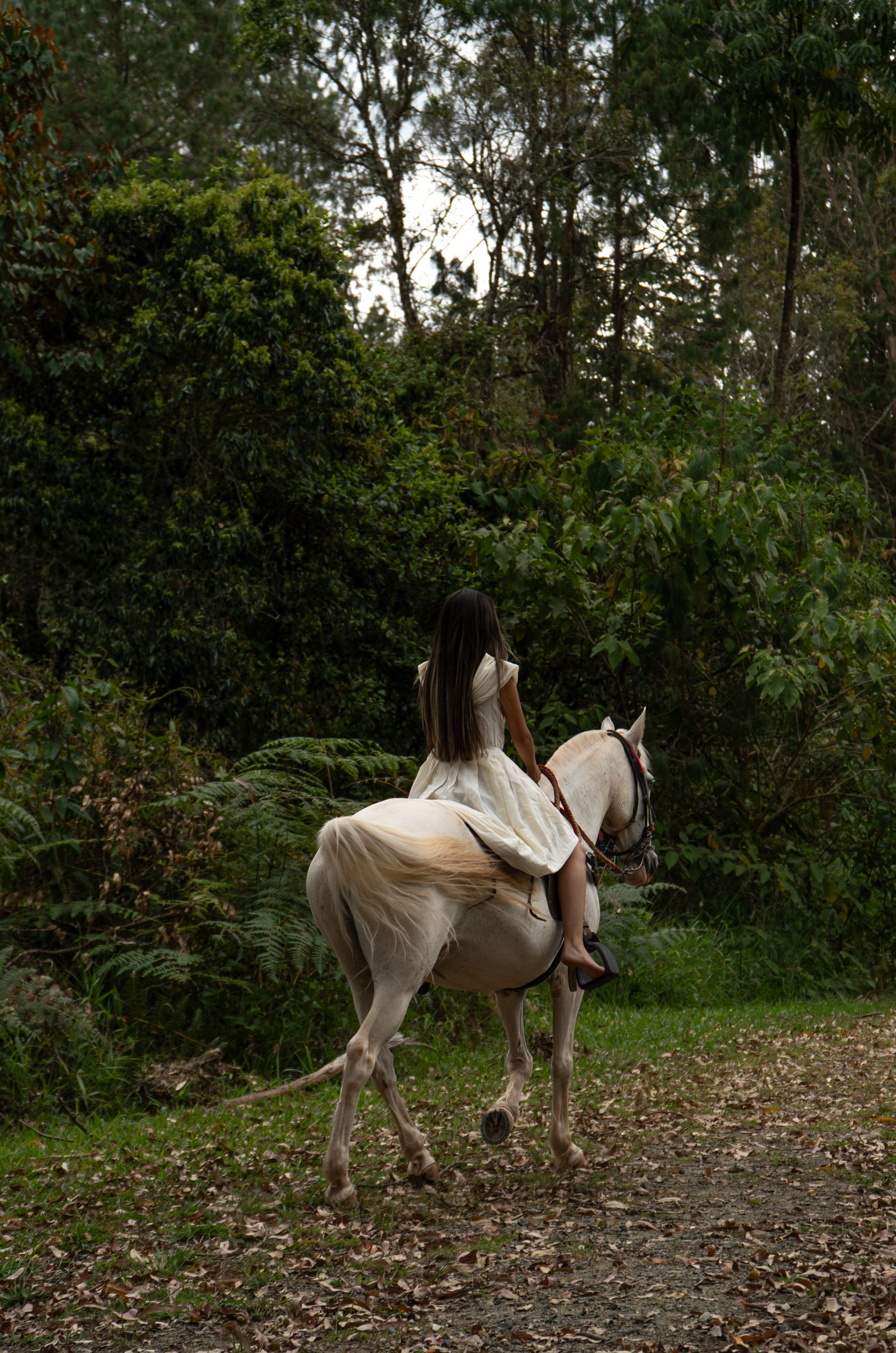 Preboda Aleja. Wedding Photographer in Barcelona and Medellin