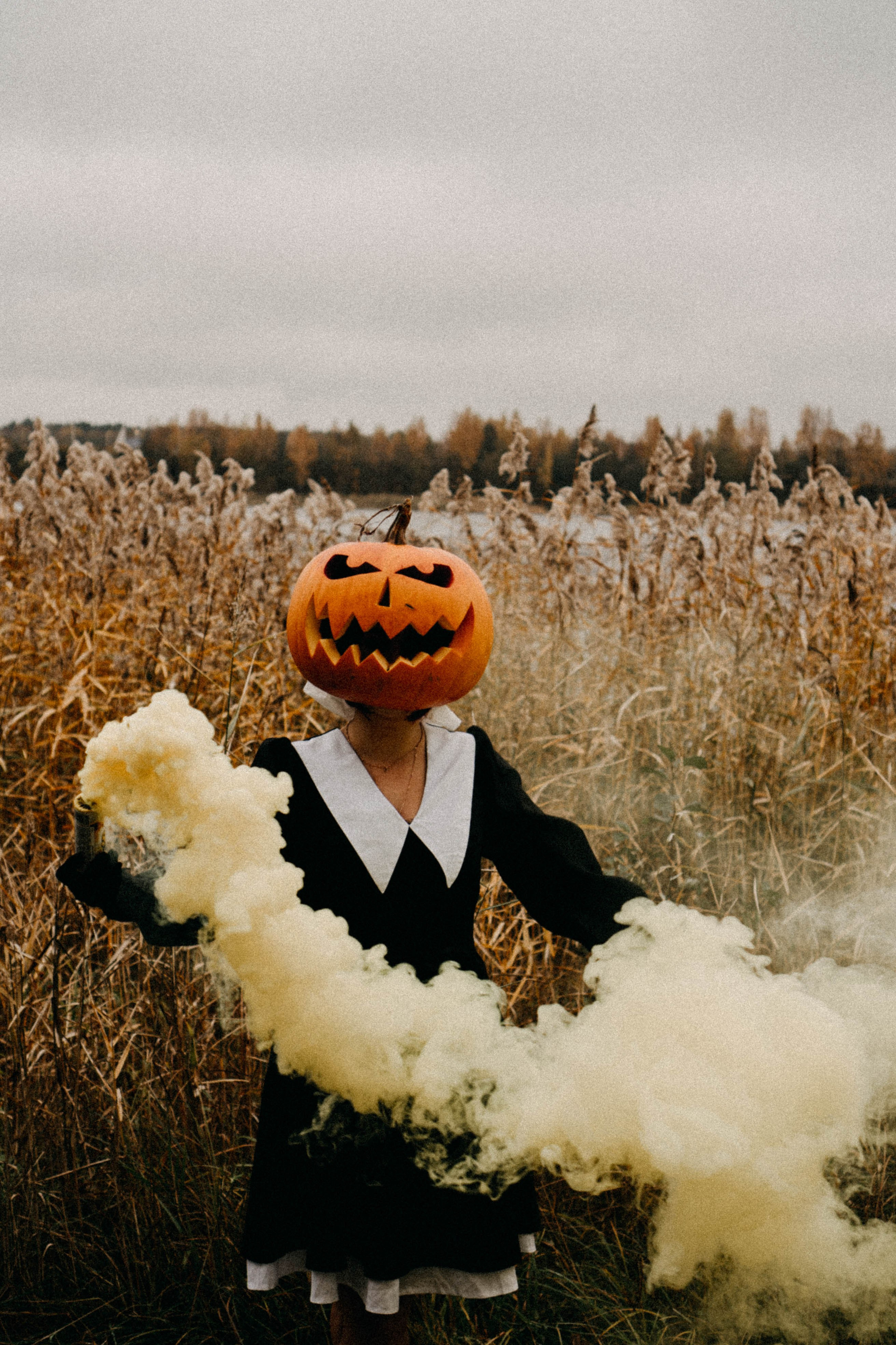 Осеняя. Профессиональный фотограф, Санкт-Петербург — Виктория Богомолова