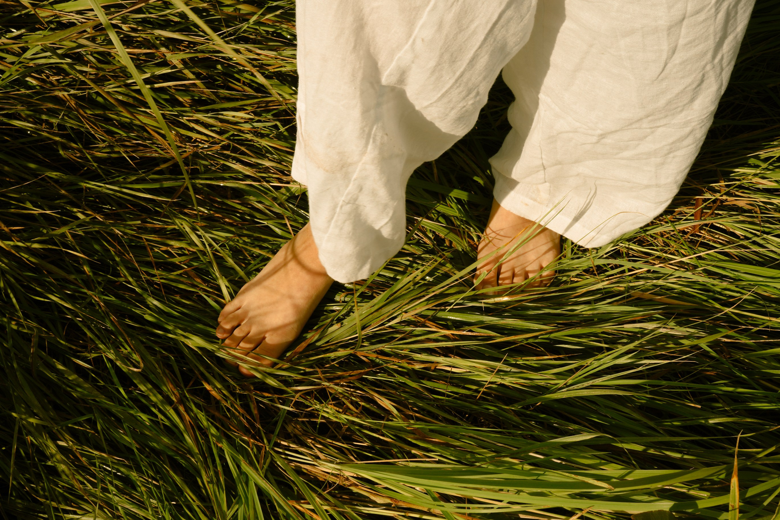 Lookbook. Romanova фотограф