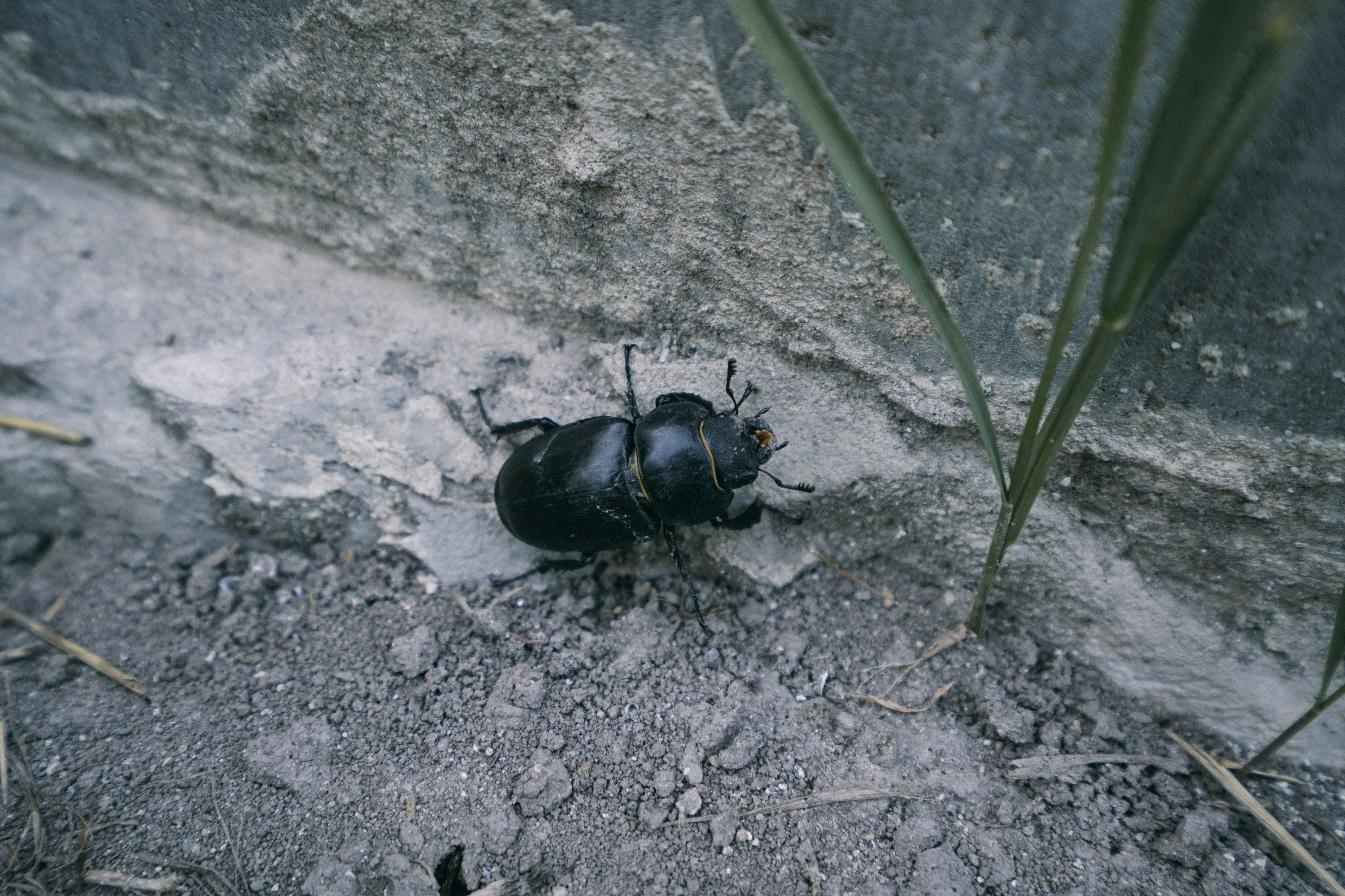 Белгород. Фотограф Алиса Аспер