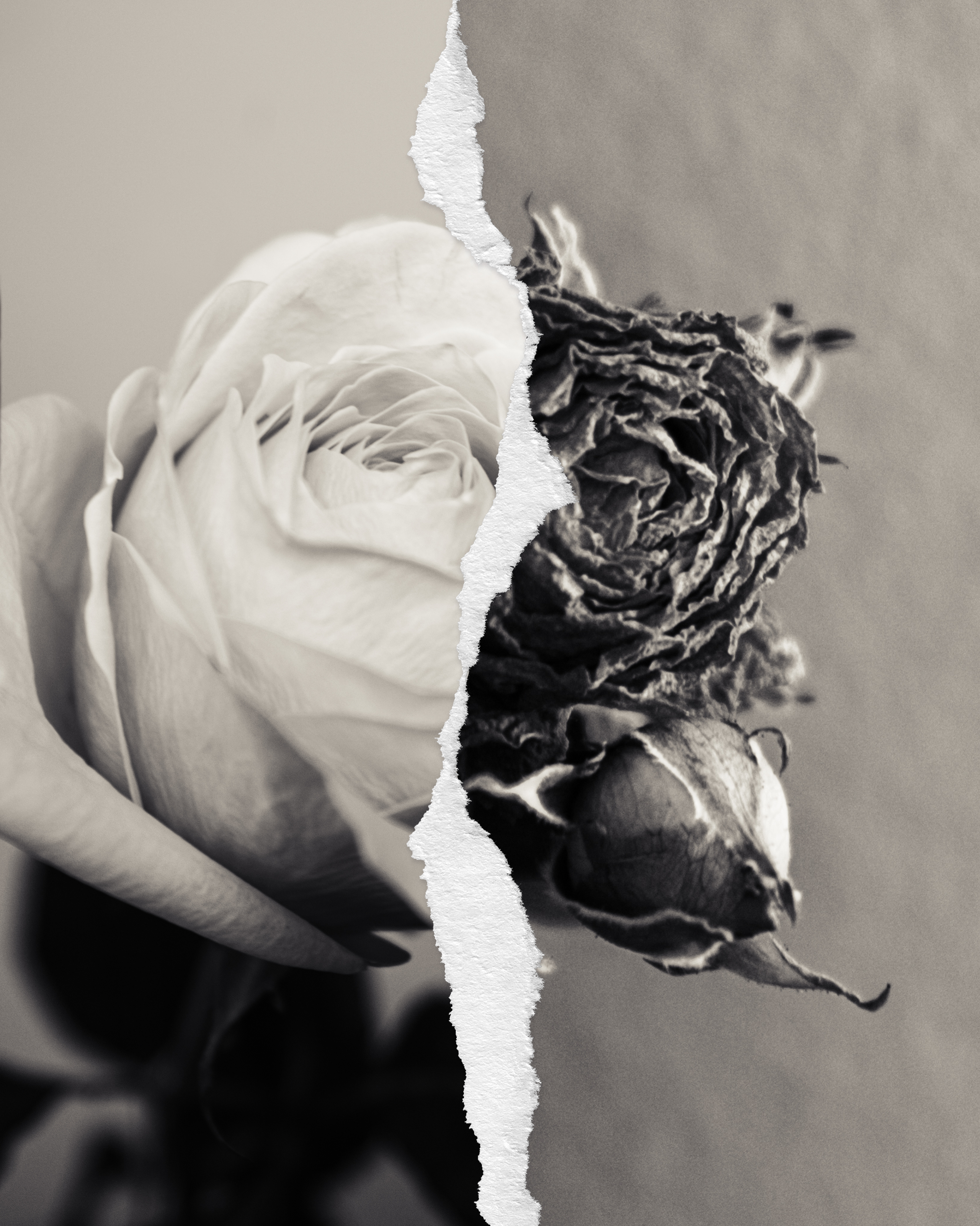 «Люди и растения». Фотограф Алиса Аспер