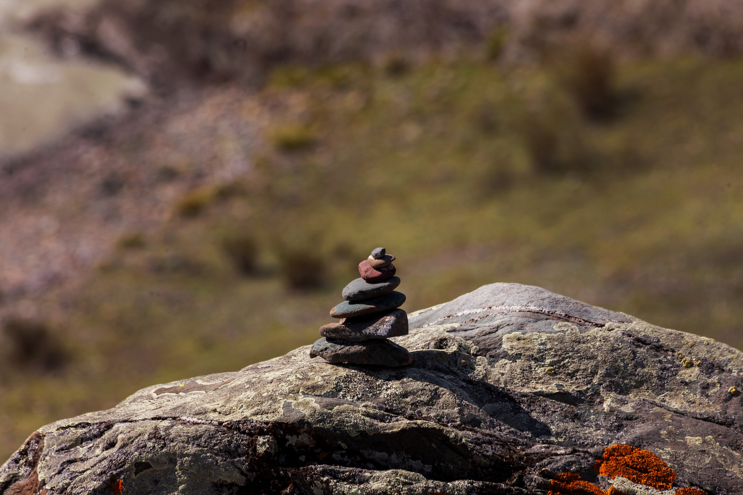 АЛТАЙ 2024 / ALTAI 2024. Главная