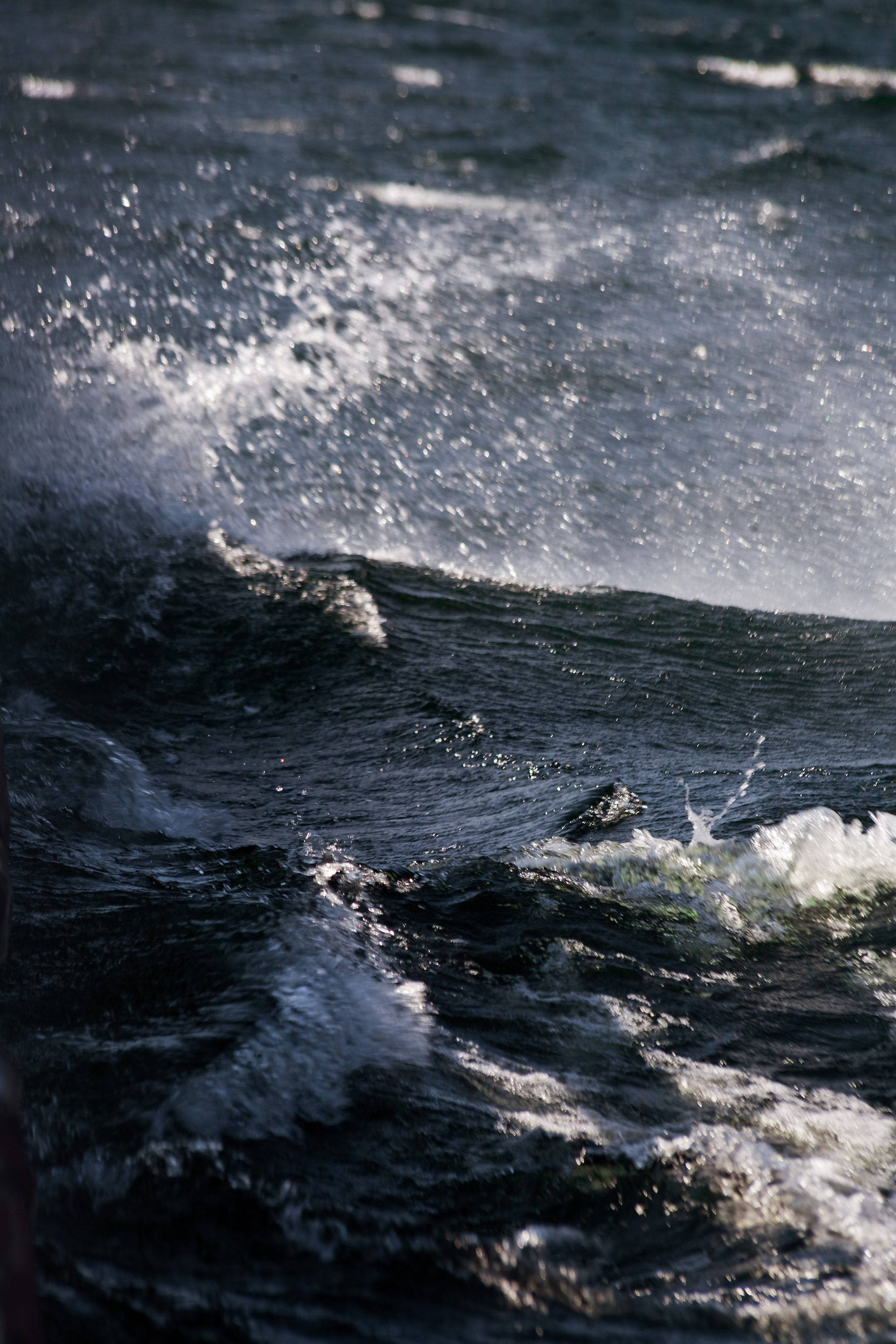 АЛТАЙ 2024 / ALTAI 2024. Главная