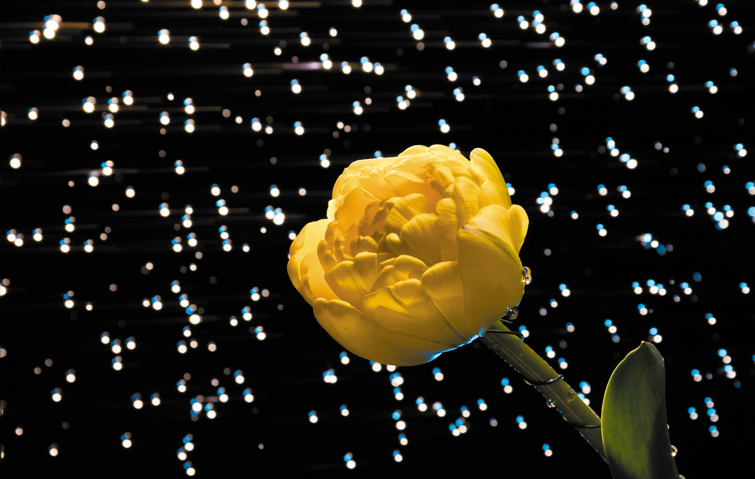 Предметная съемка. Фотограф Светлана Заплатина