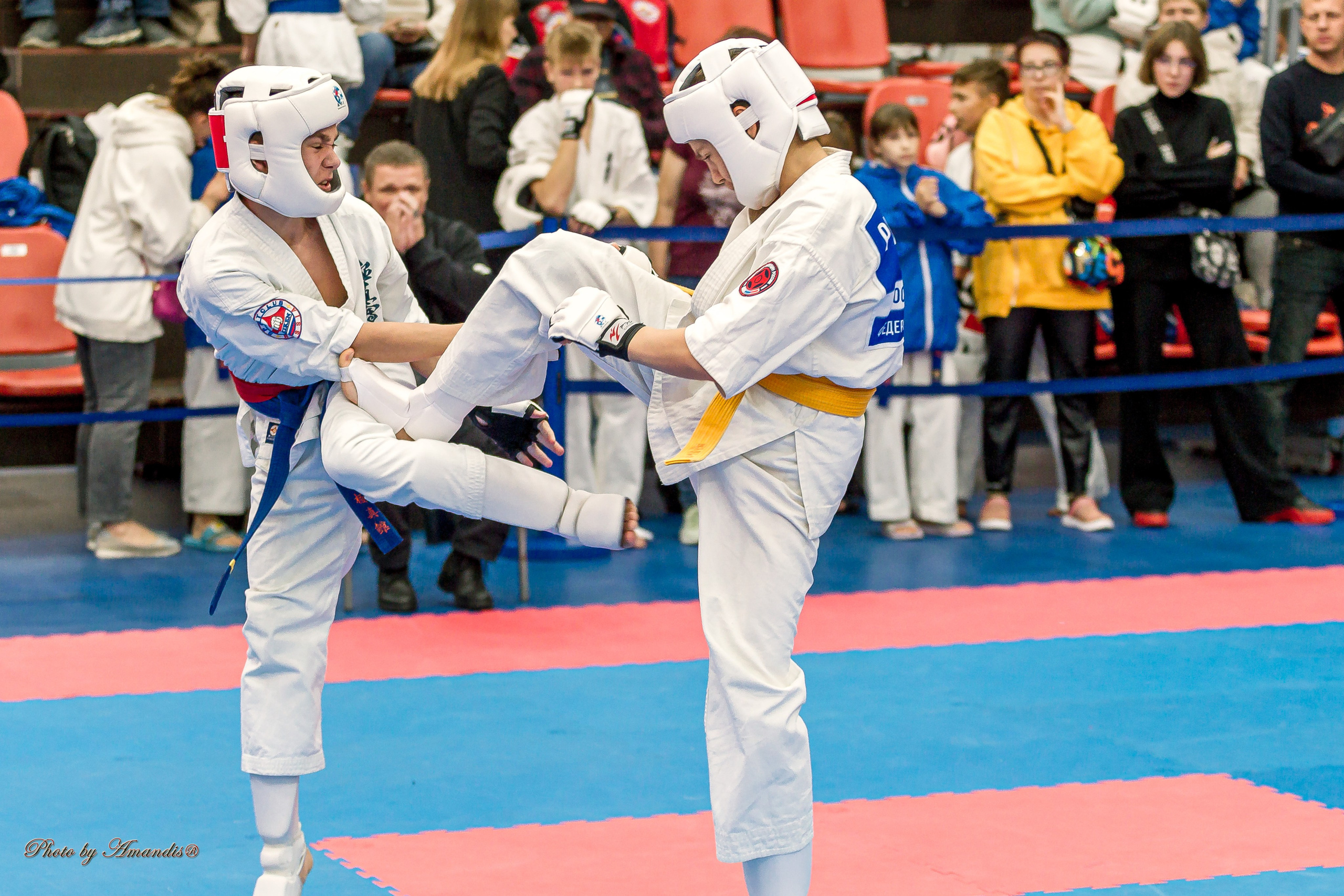 Чемпионат по Киокушинкай Центрального Федерального округа. Репортажная съемка в Москве и области. Анималистика