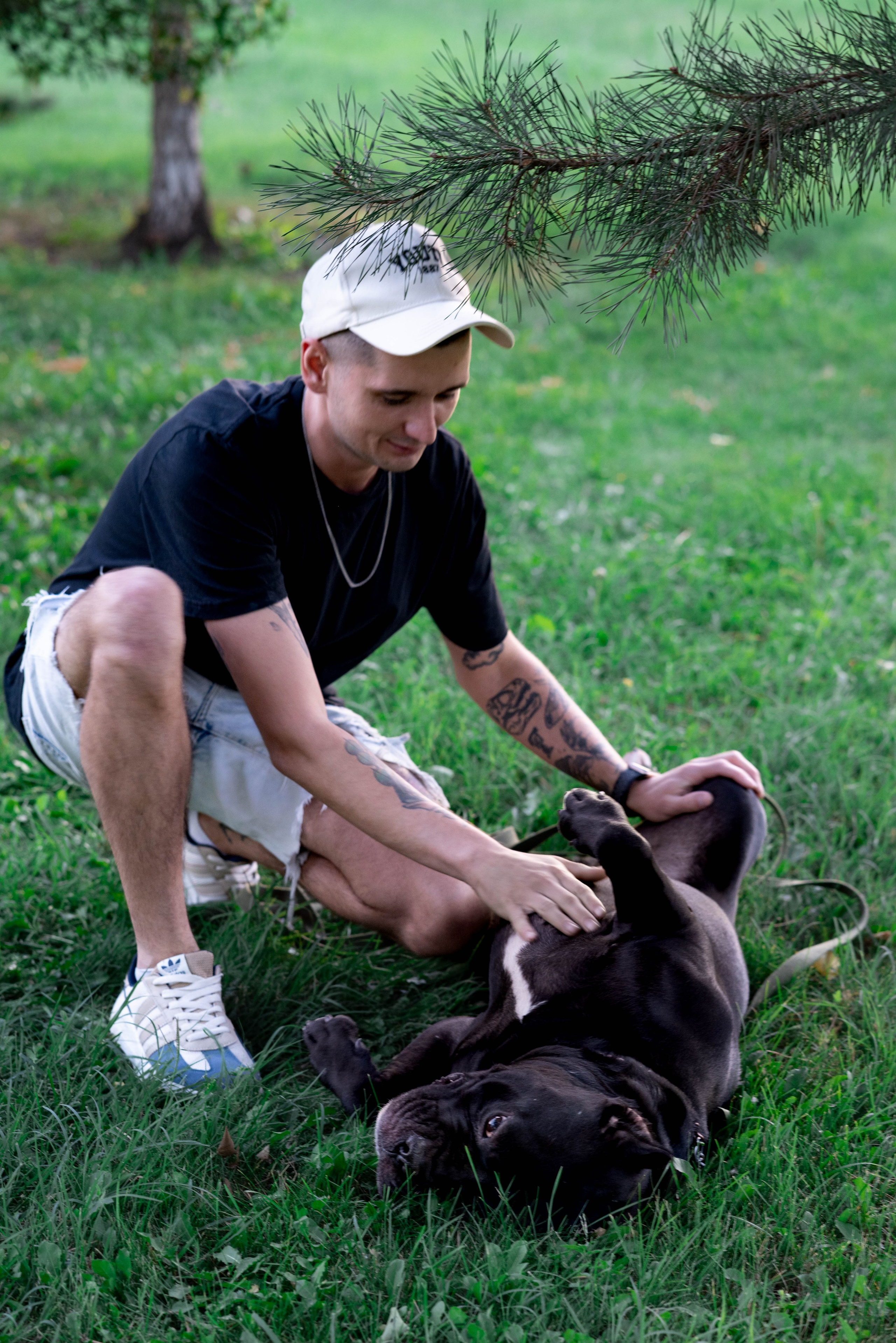 Фотосессии с собаками. Фотограф Краснодар Наталья Сувит