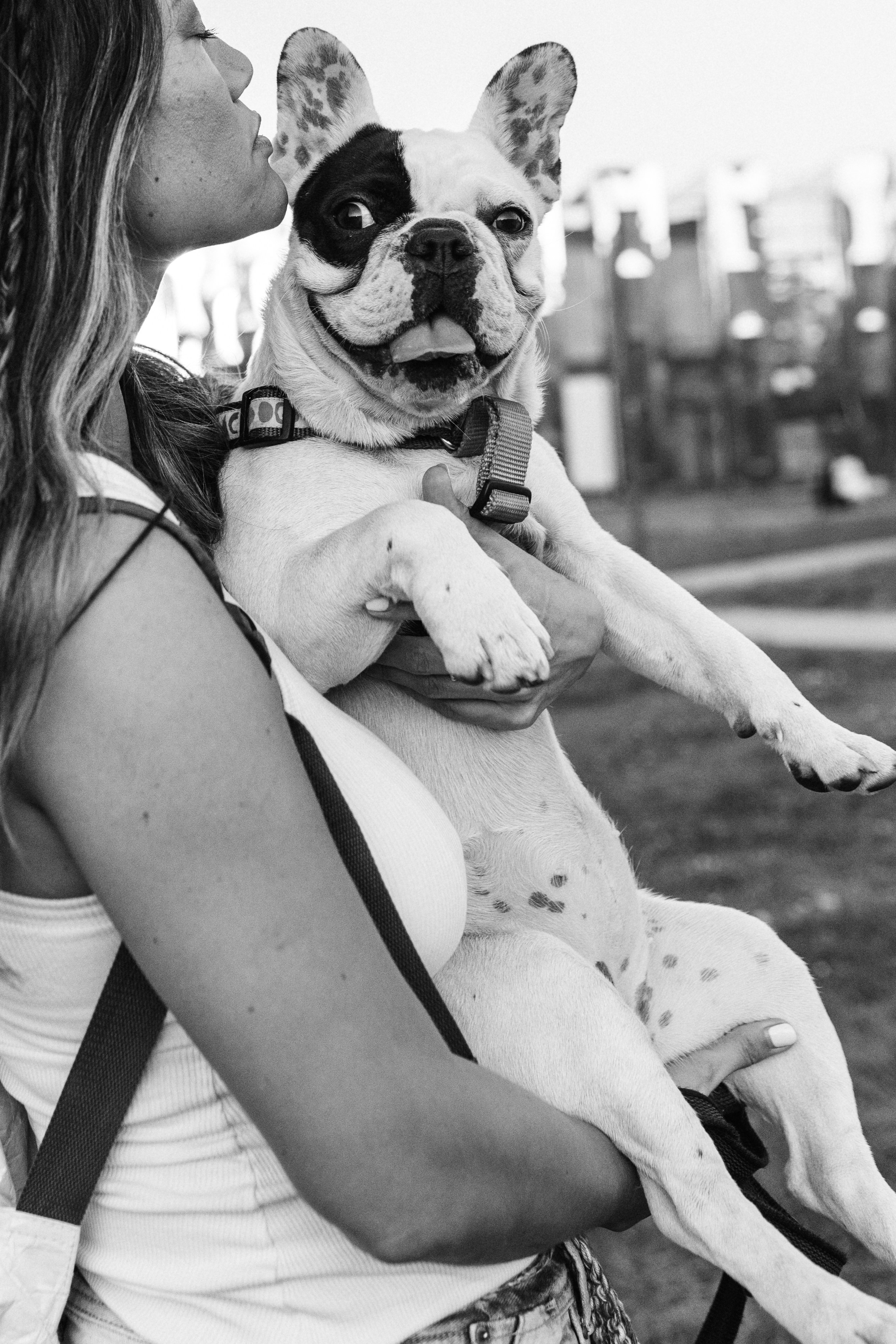 Инна и Белль. Фотограф анималист в Москве Ольга Агушева