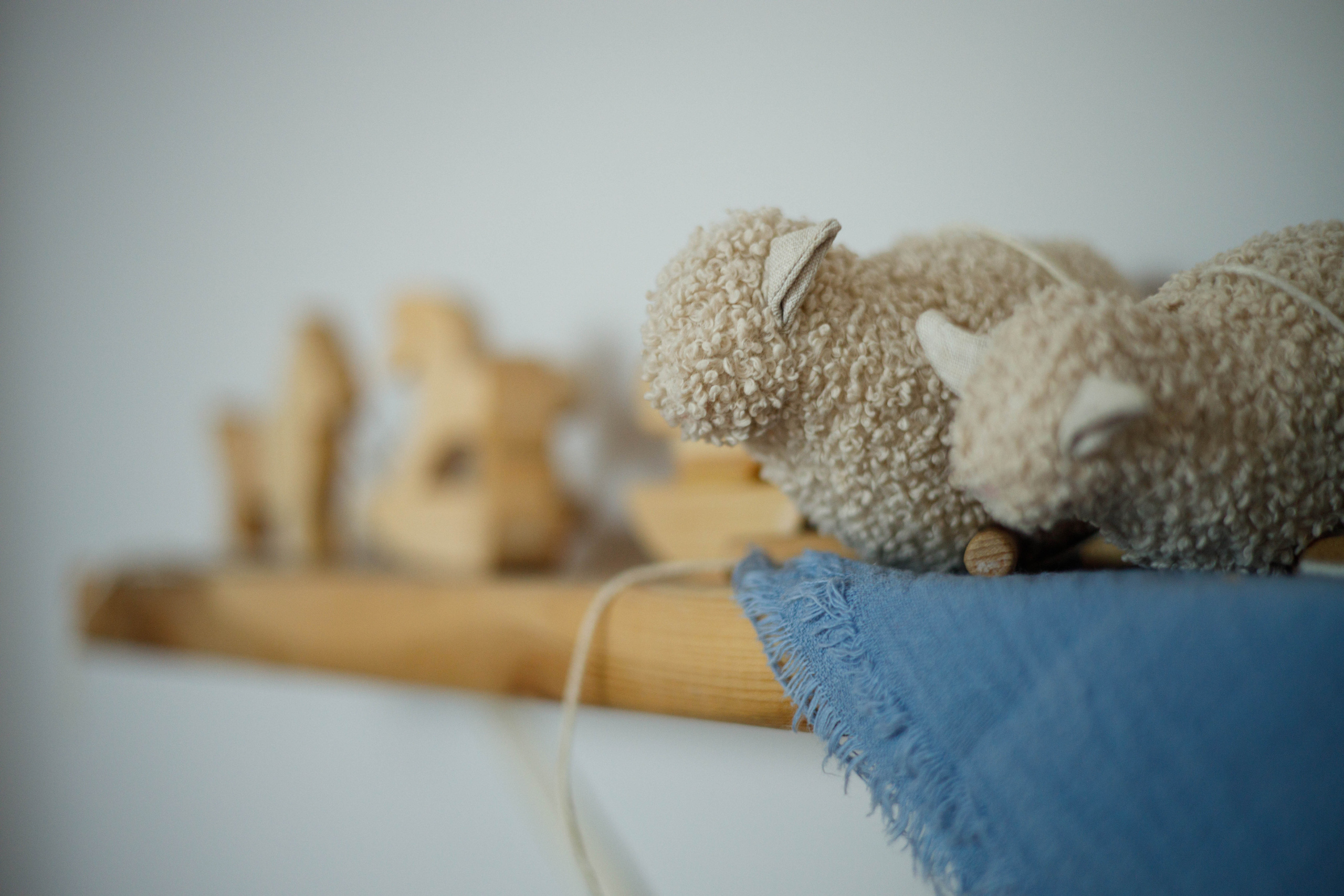 Услуги. Фотограф Екатерина Разинкова