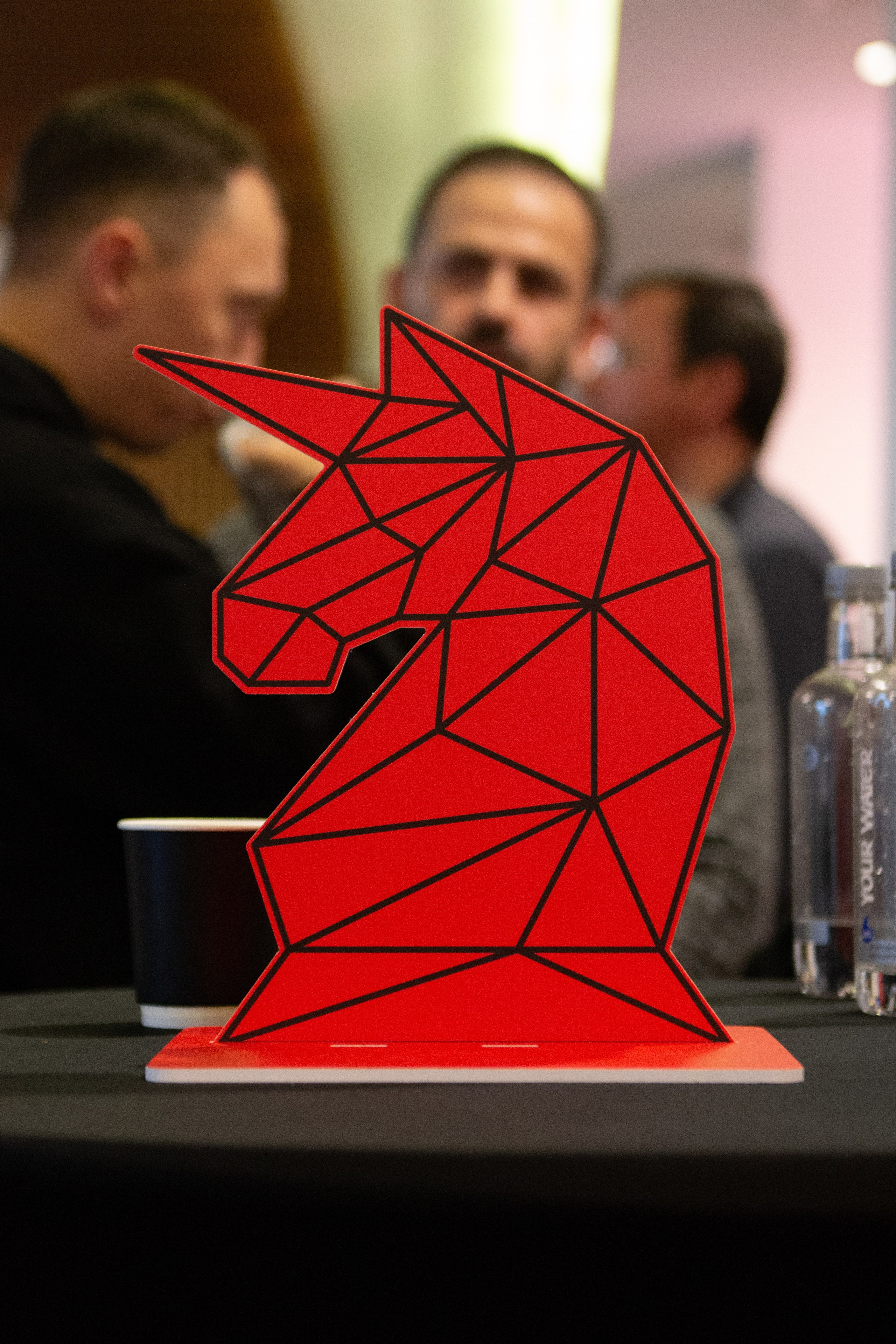 Тур Оскара Хартманна «Охота за единорогами». Дарья Терещук — репортажный фотограф в Минске