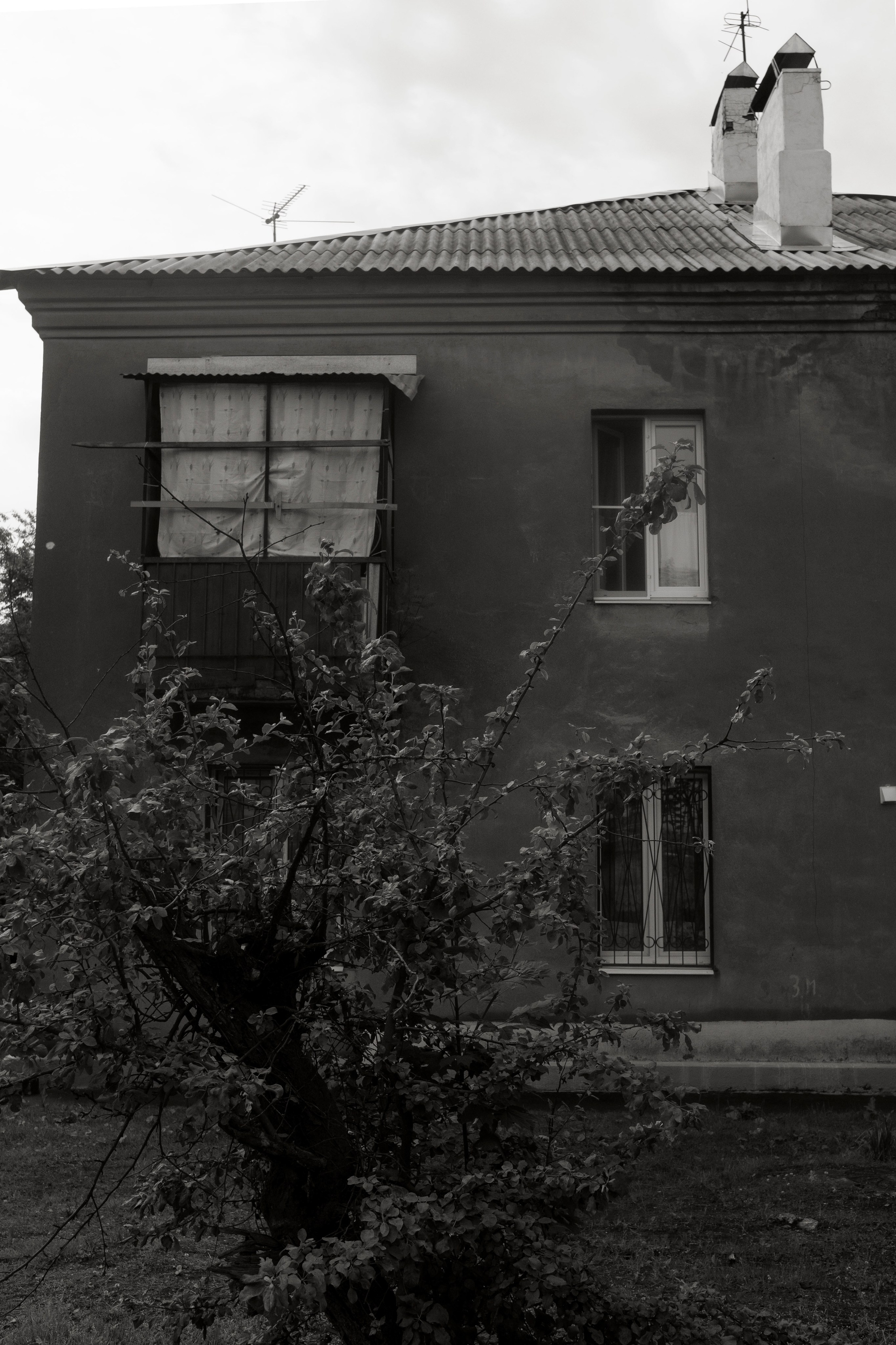 Дача, 2020. Портретный фотограф в Москве Евгения Яковенко