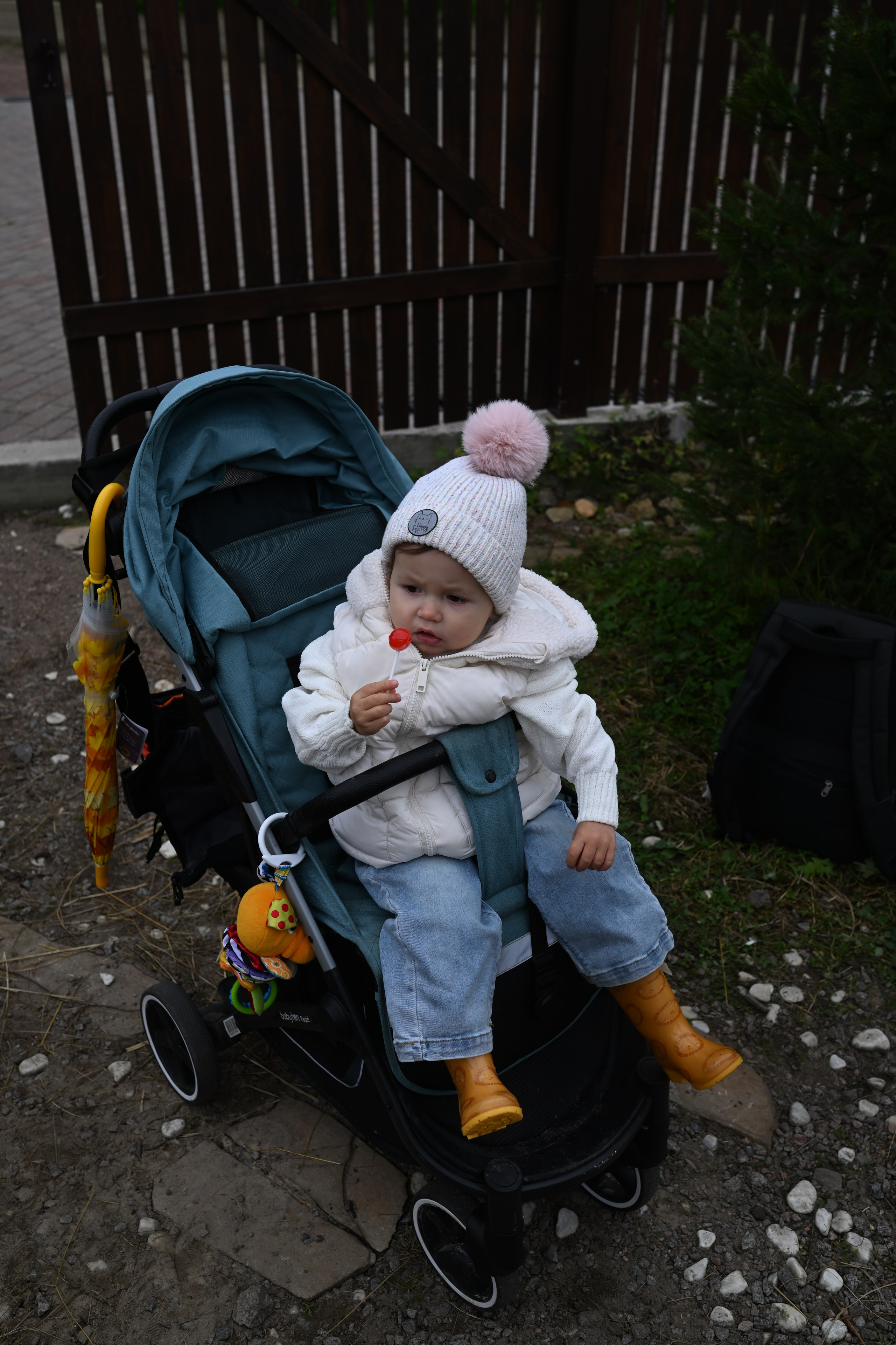 РЕГИНА ОСЕНЬ. Фотограф в Санкт-Петербурге Сафронов Николай