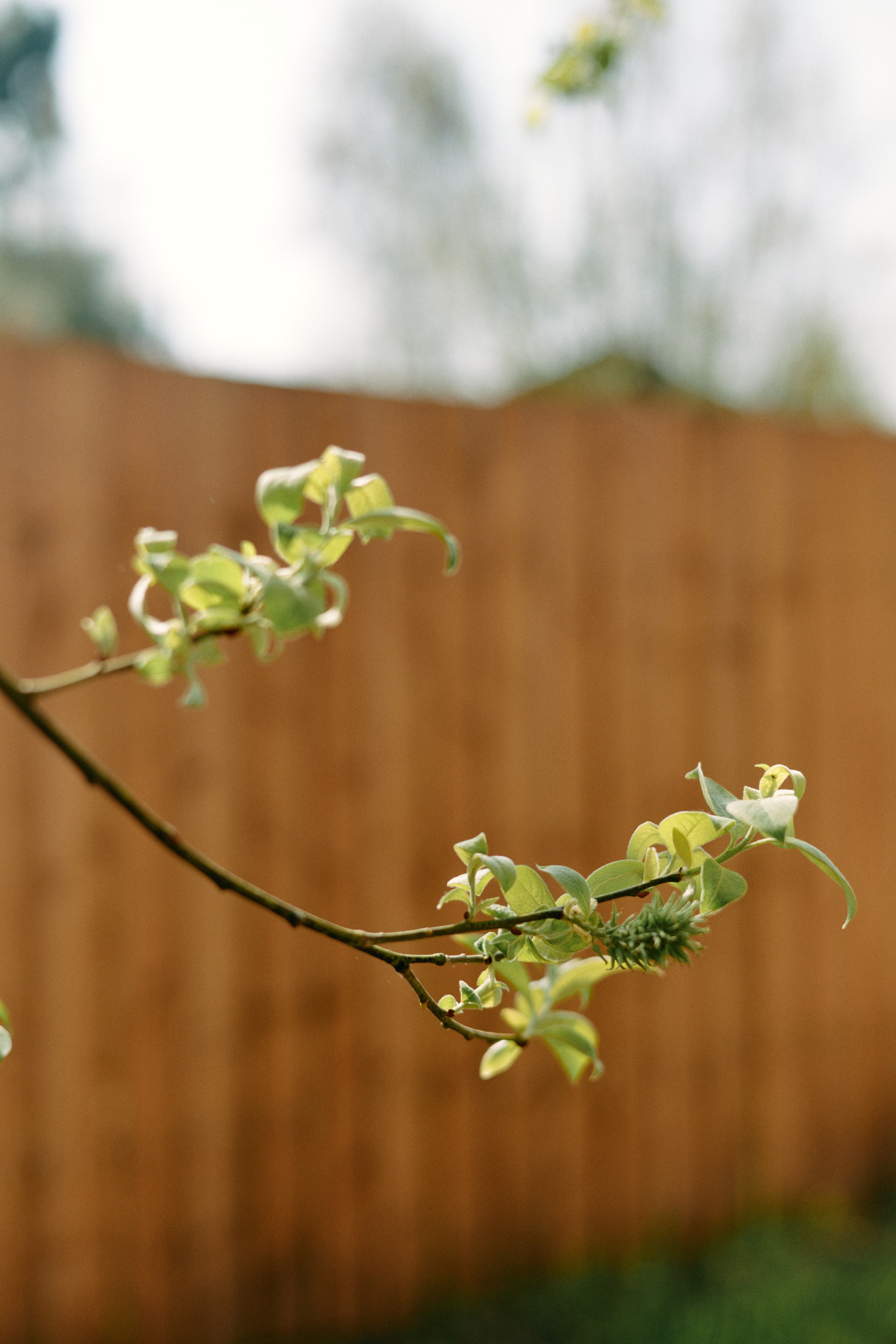 Бутик-отель Поле летом. Профессиональный Фотограф во Владимире, в Москве и в Суздале — Полина Романычева