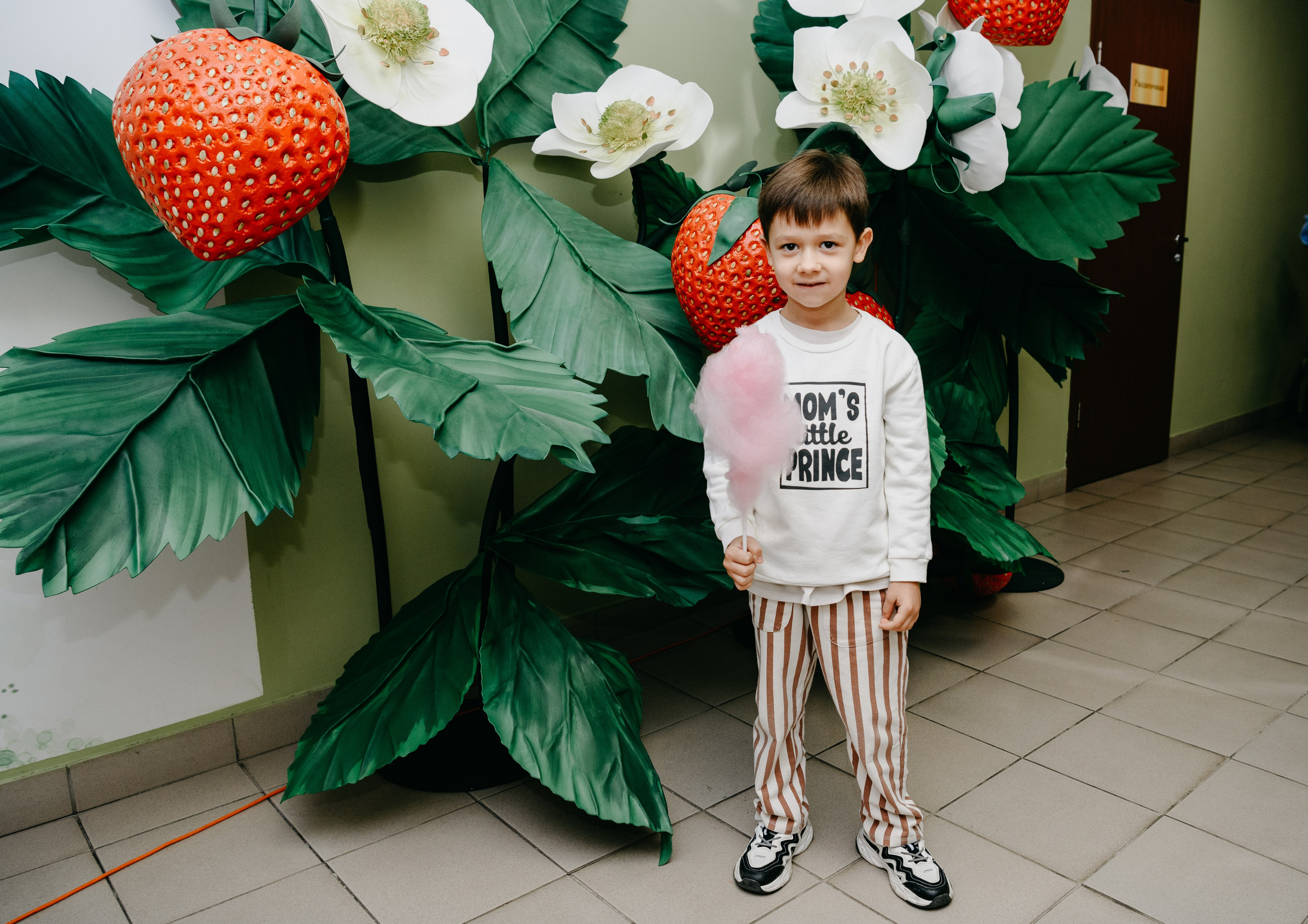 Волшебная страна. Фотограф на выписку из роддома в Москве и МО
