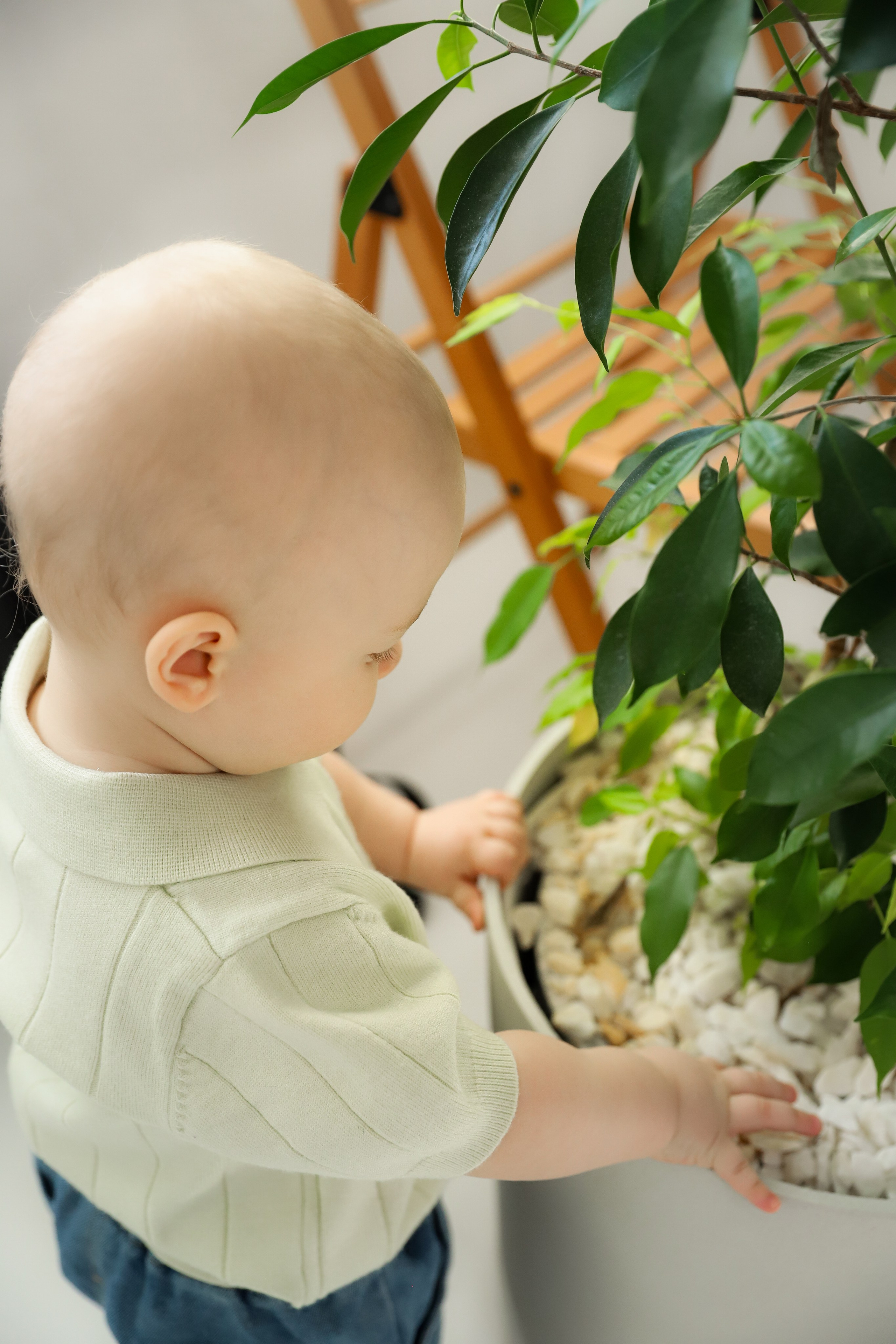 Студия ПроФото. Фотограф в Сургуте Брызгунова Анастасия