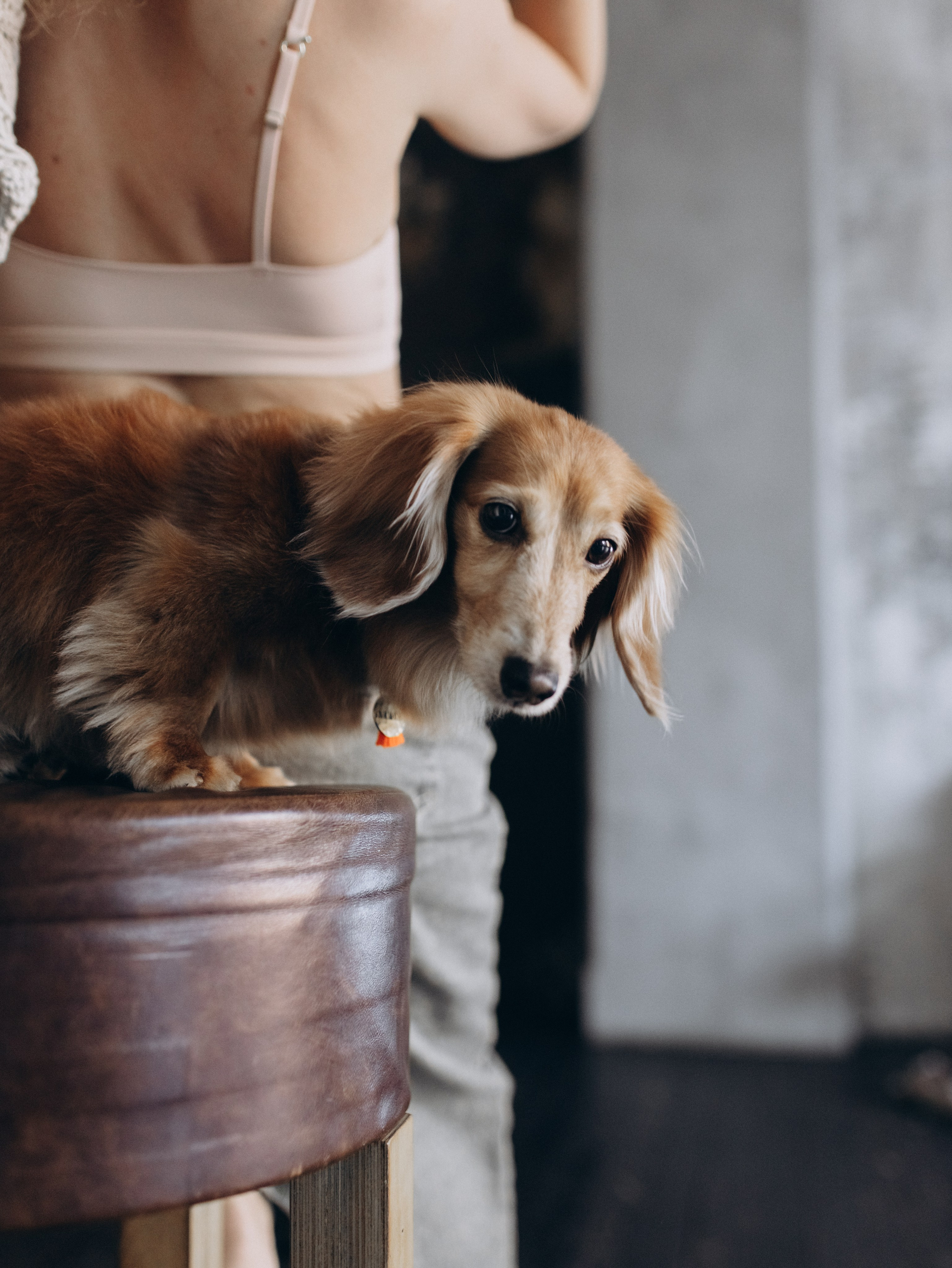 Лимон и Аня. Фотограф-анималист в Москве Кириллова Татьяна