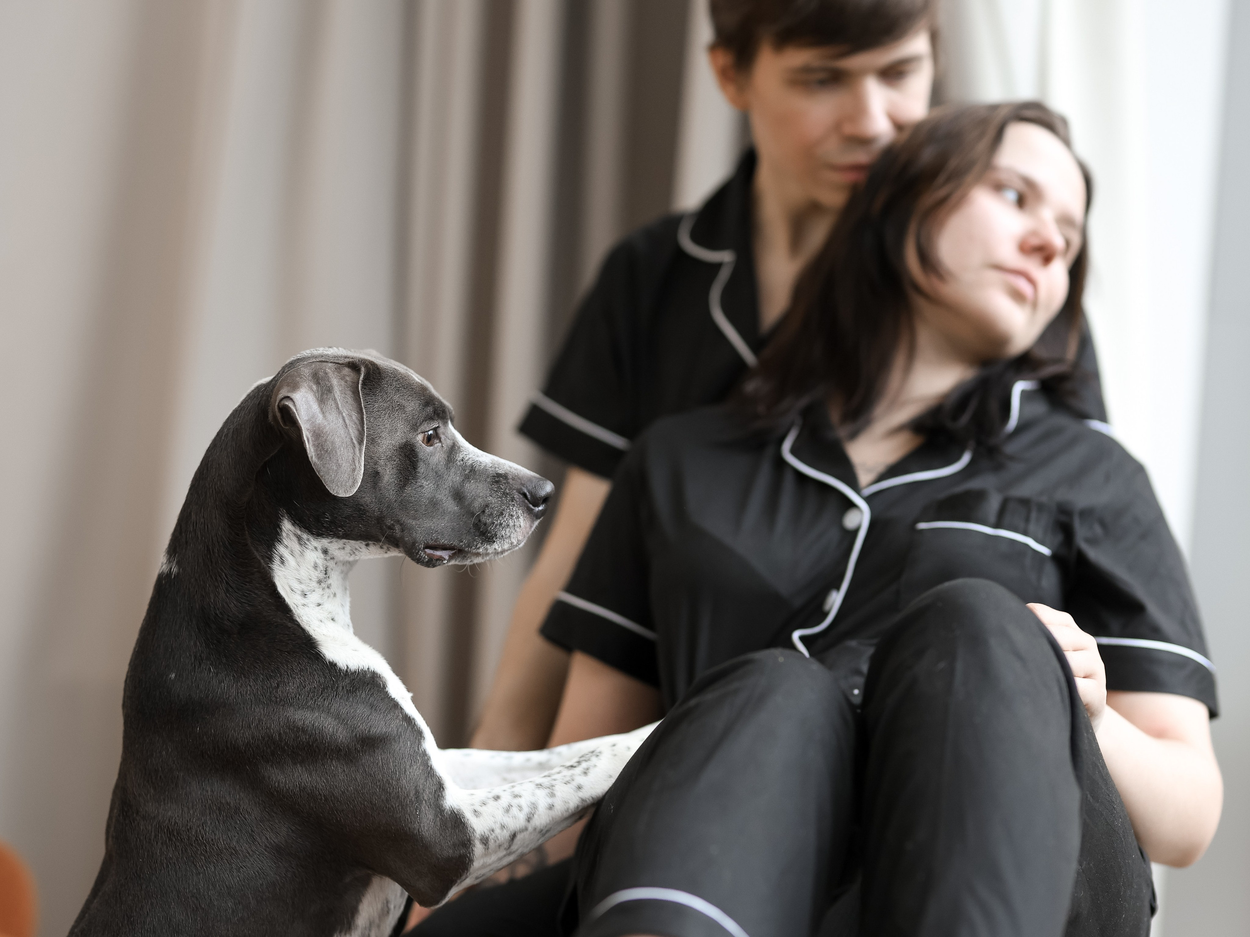 Тортик Даша и Никита. Фотограф-анималист в Москве Кириллова Татьяна