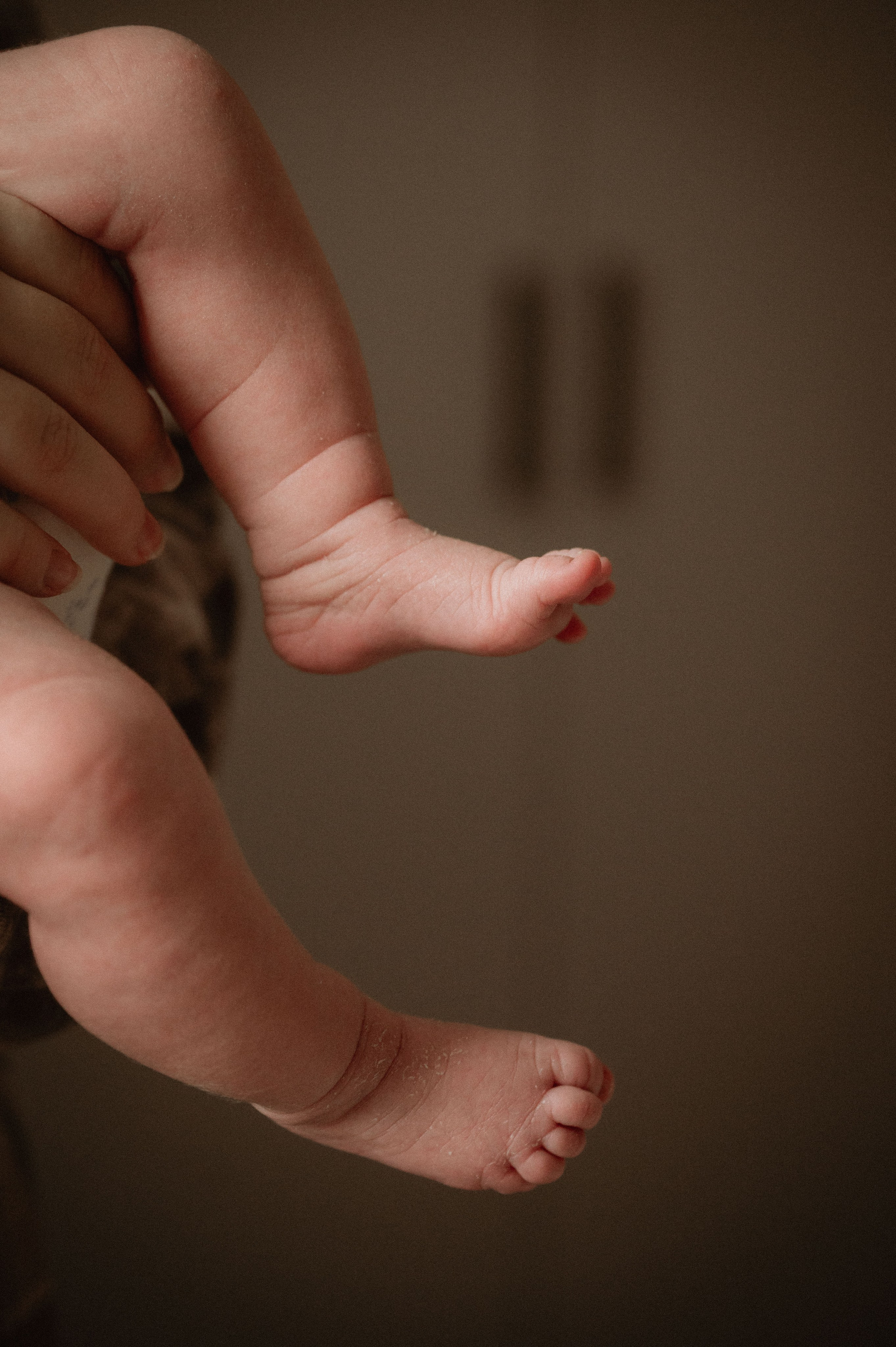 Лизавета, Никита и Мирослава. Фотограф беременности и семьи, домашние съемки, Ньюборн