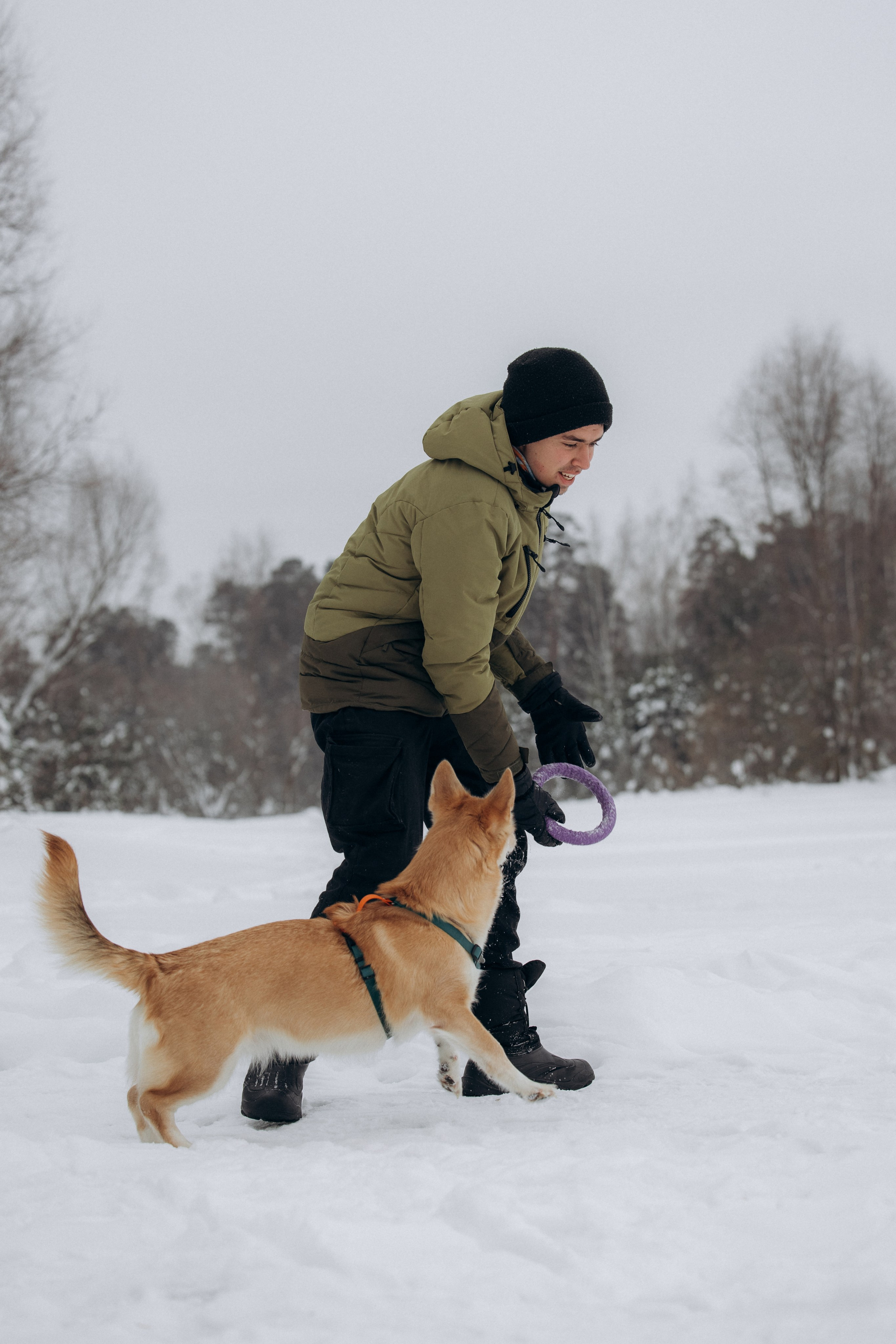 Прогулка на озере зимой. Фотограф анималист в Казани Алина Сулейманова. Фотограф животных