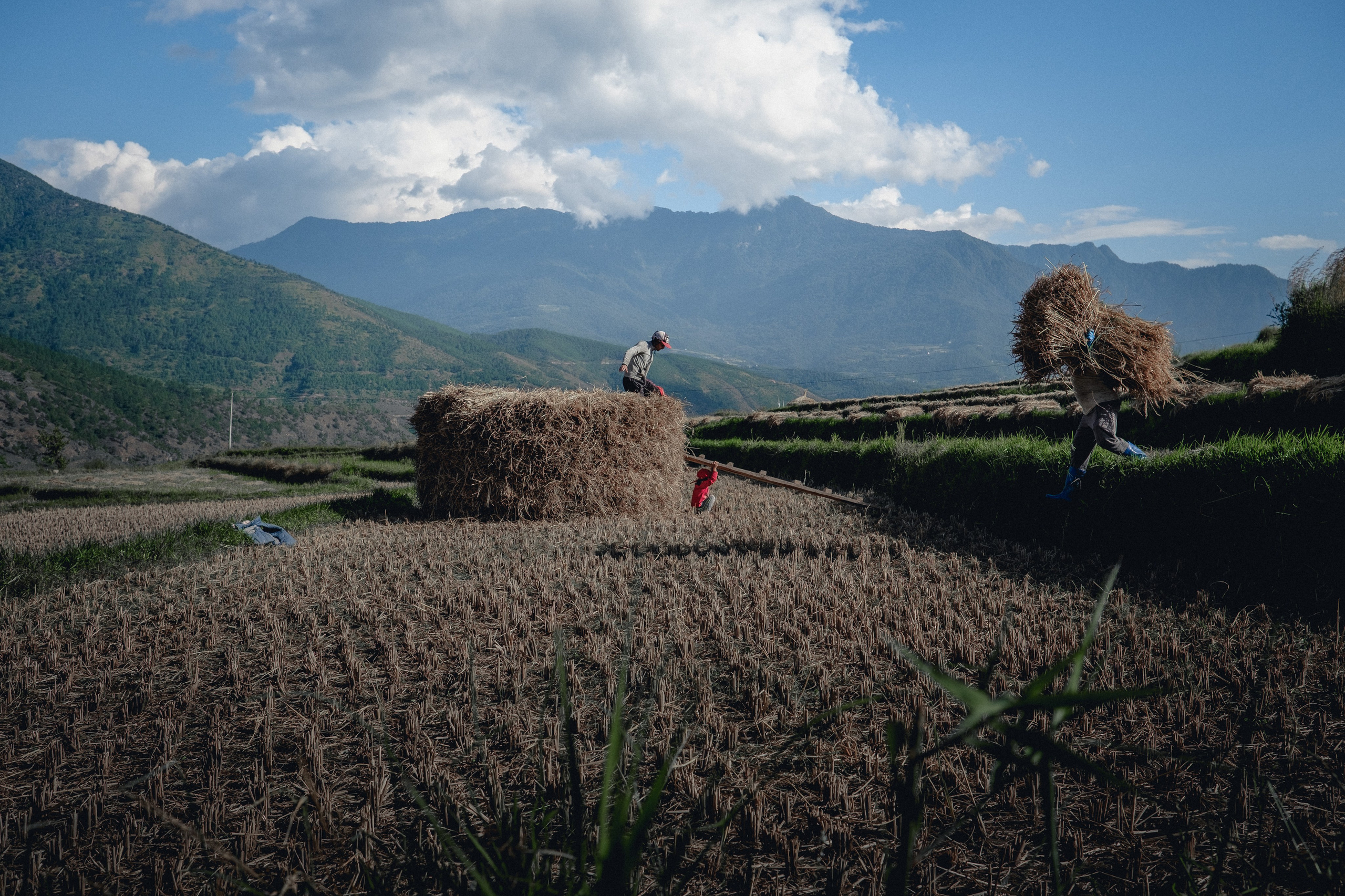 Bhutan. Dmitry Ippolitov