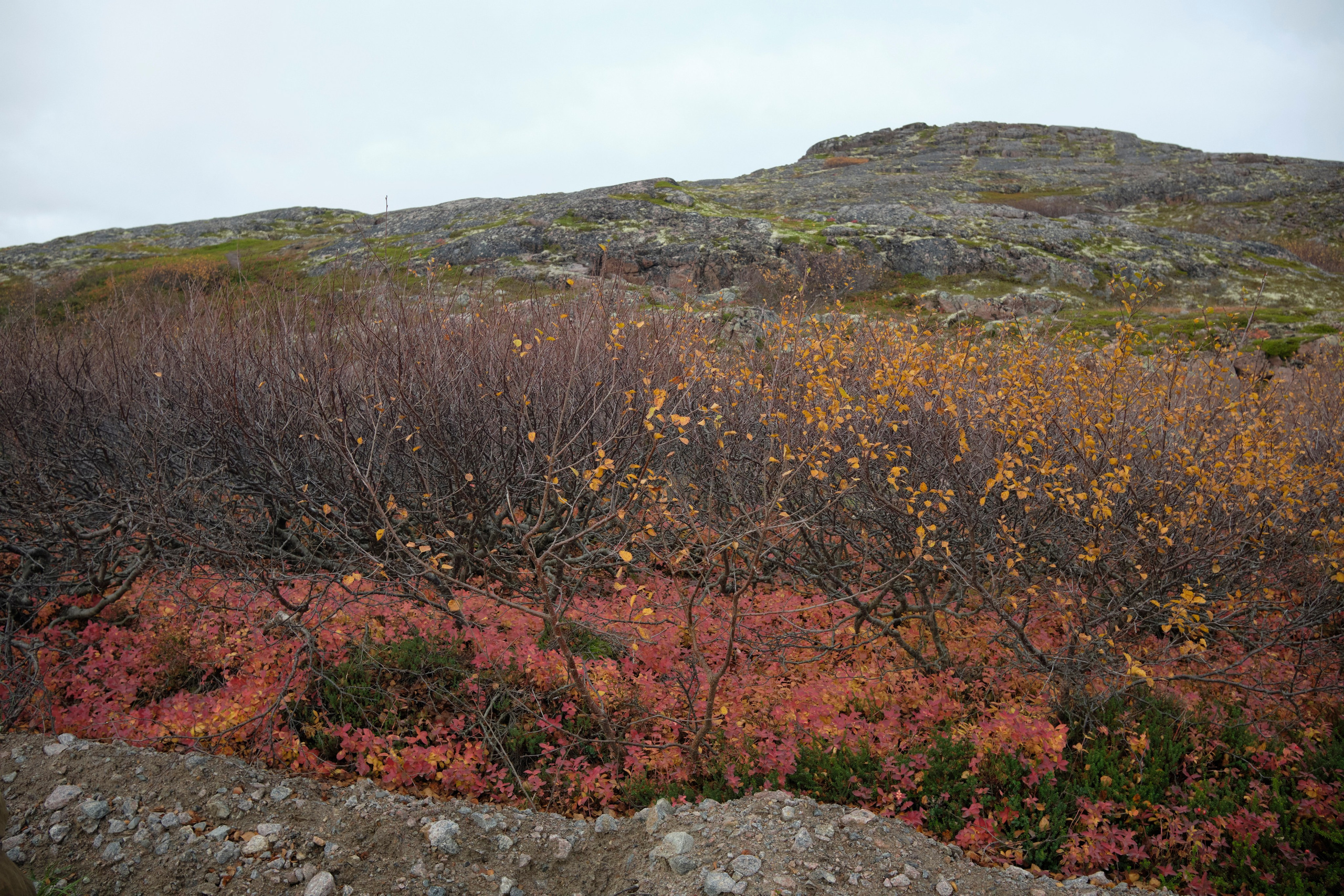 Путешествие в Териберку. Елена Павленко. Фотограф. Москва