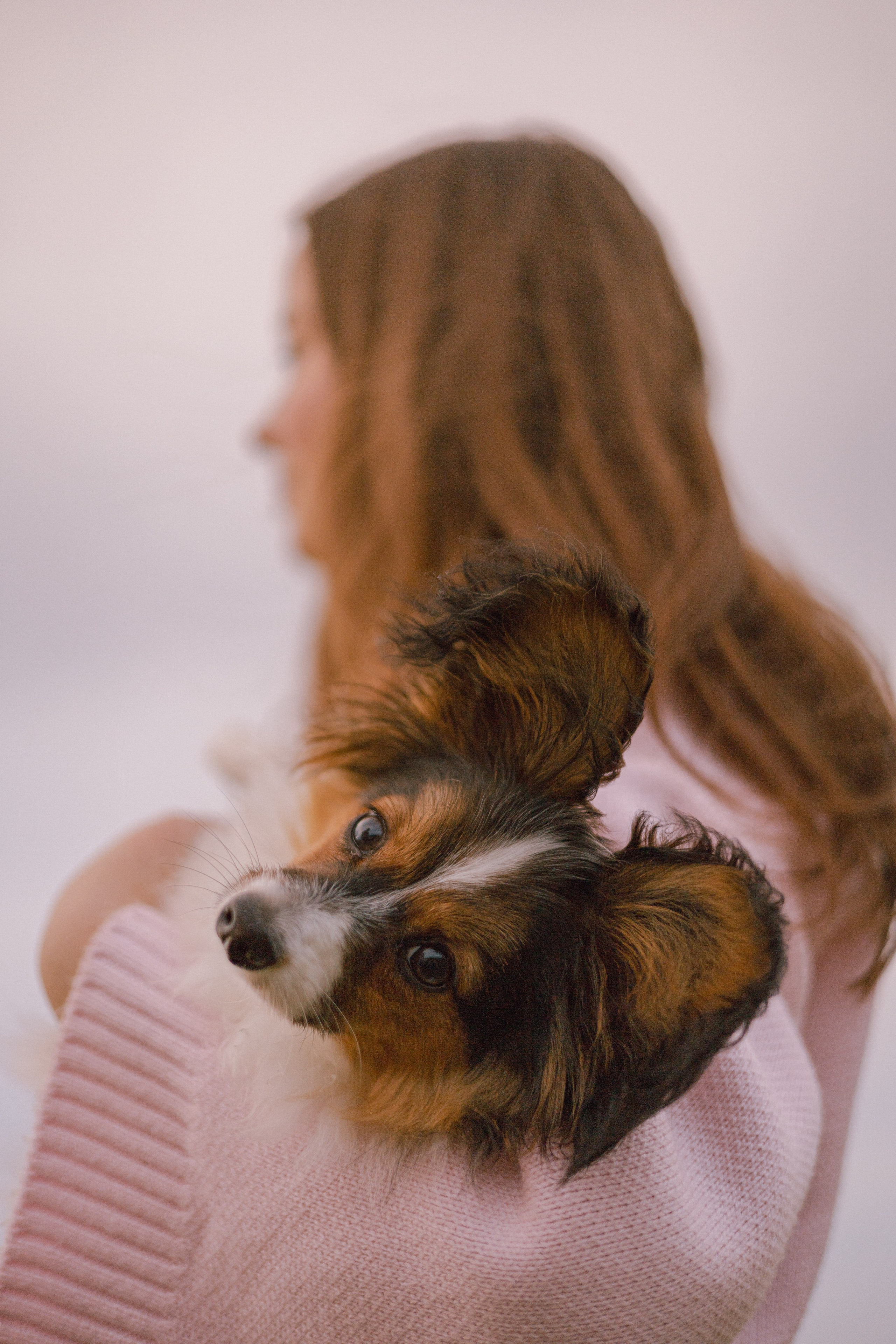 Вика и Бруни. Фотограф — анималист •love-story•|Санкт-Петербург