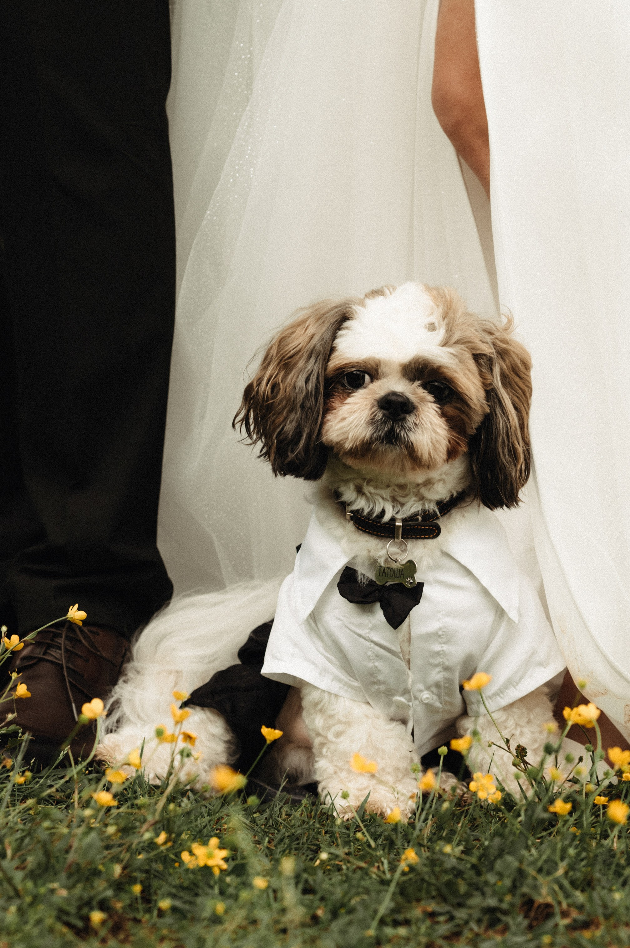 Нежная история на ферме. Семейный и свадебный фотограф в Самаре