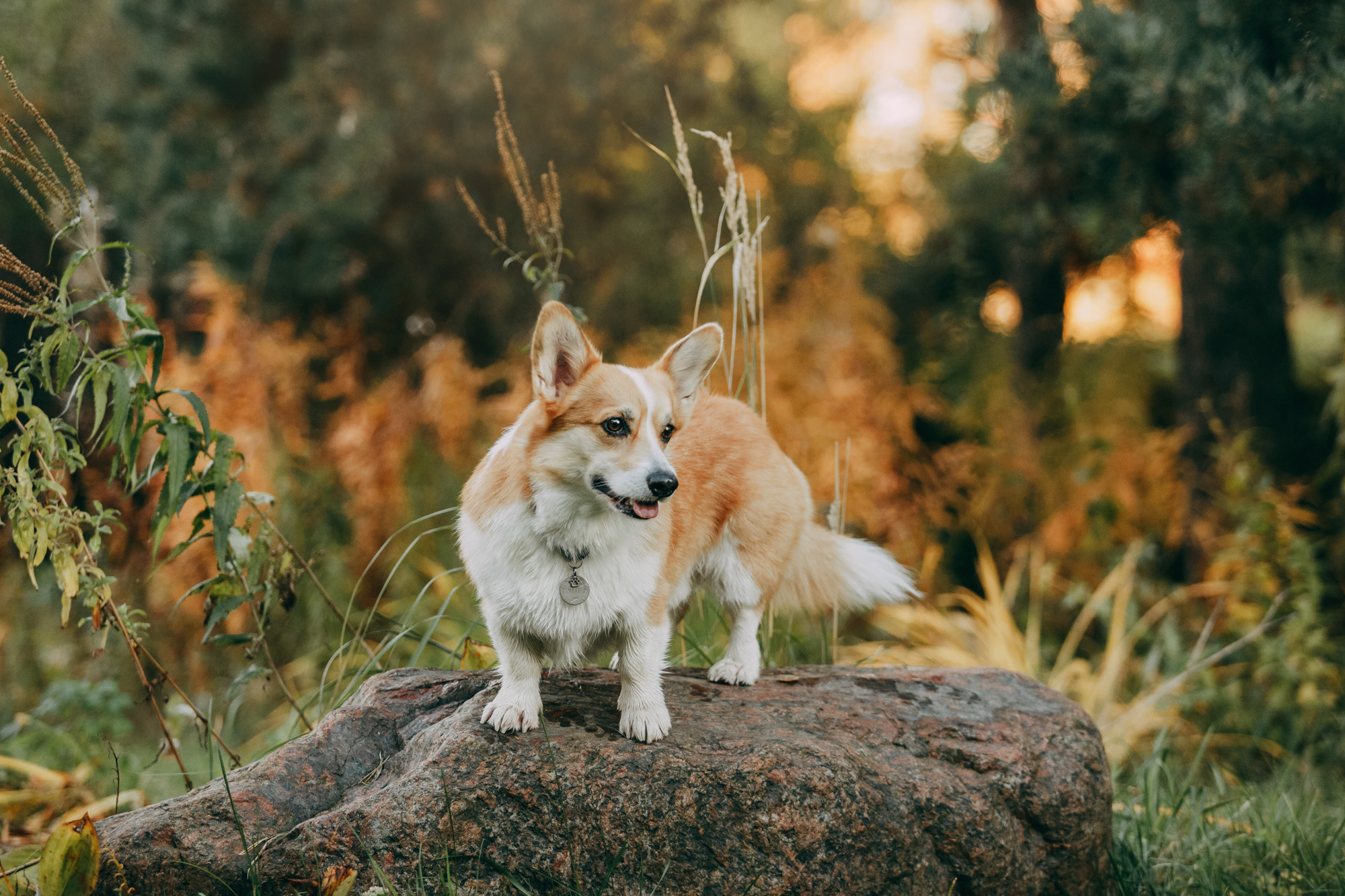 Настя и Пумба. Фотограф-анималист Елена Радченко, Москва