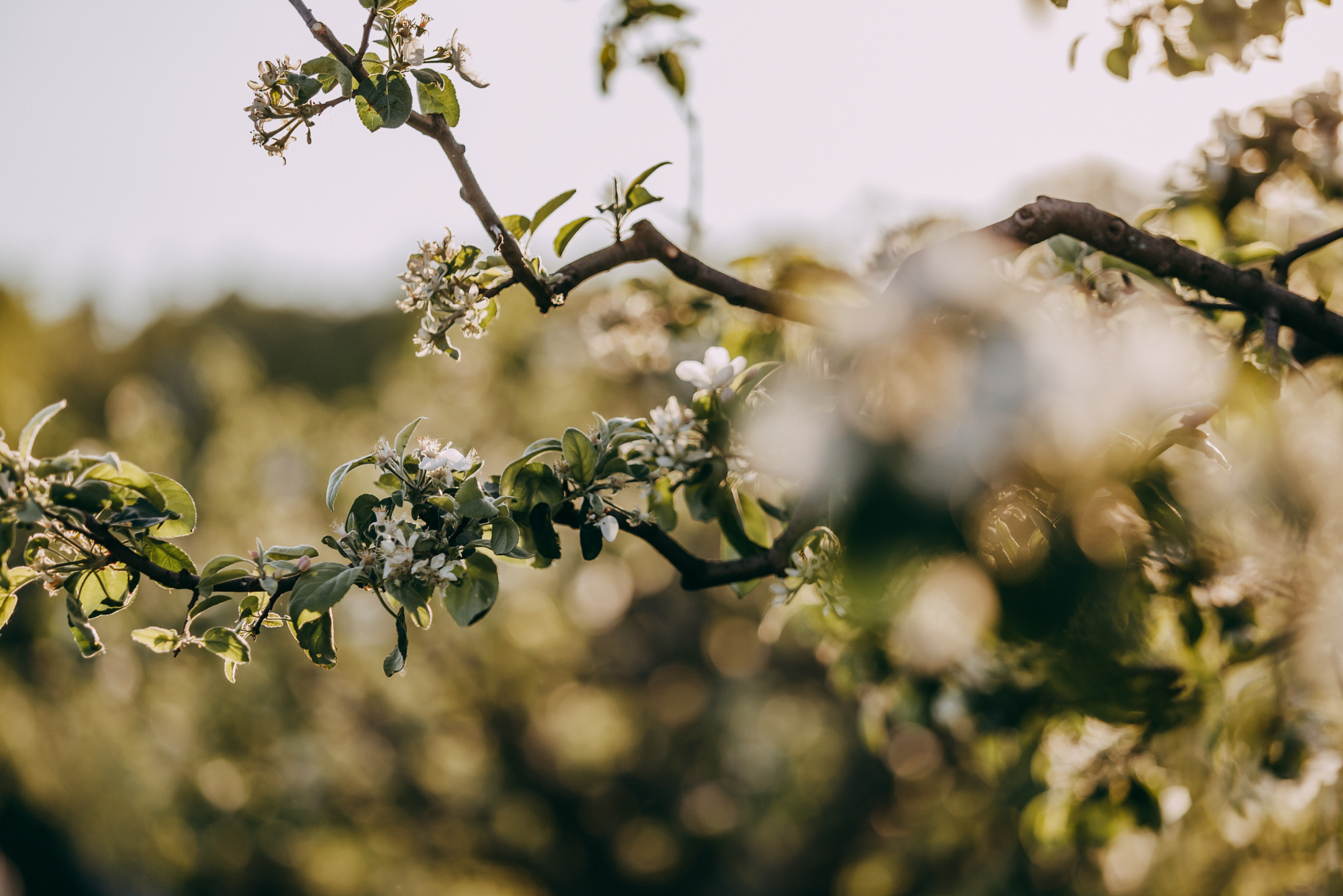 Аня и Винни. Фотограф-анималист Елена Радченко, Москва