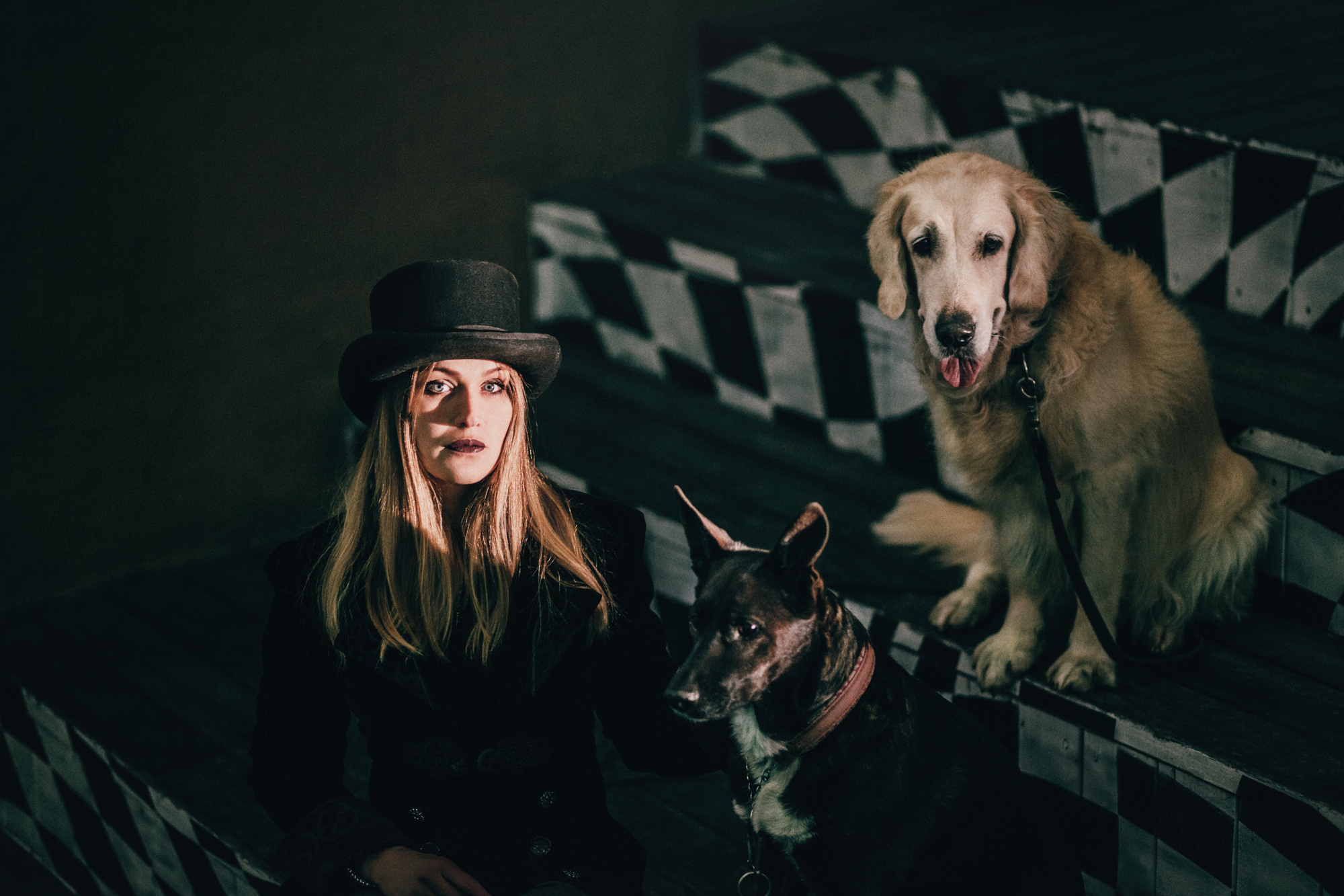 Ира, Бэлла и Альма. Фотограф-анималист Елена Радченко, Москва