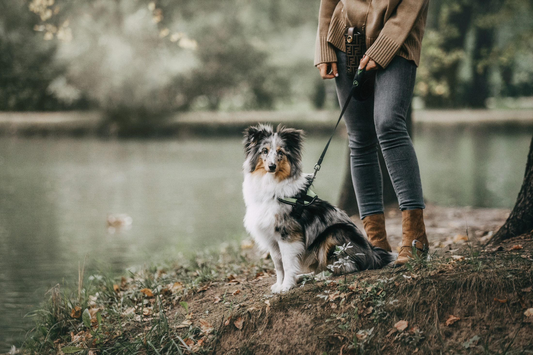 Катя и Соломон. Фотограф-анималист Елена Радченко, Москва