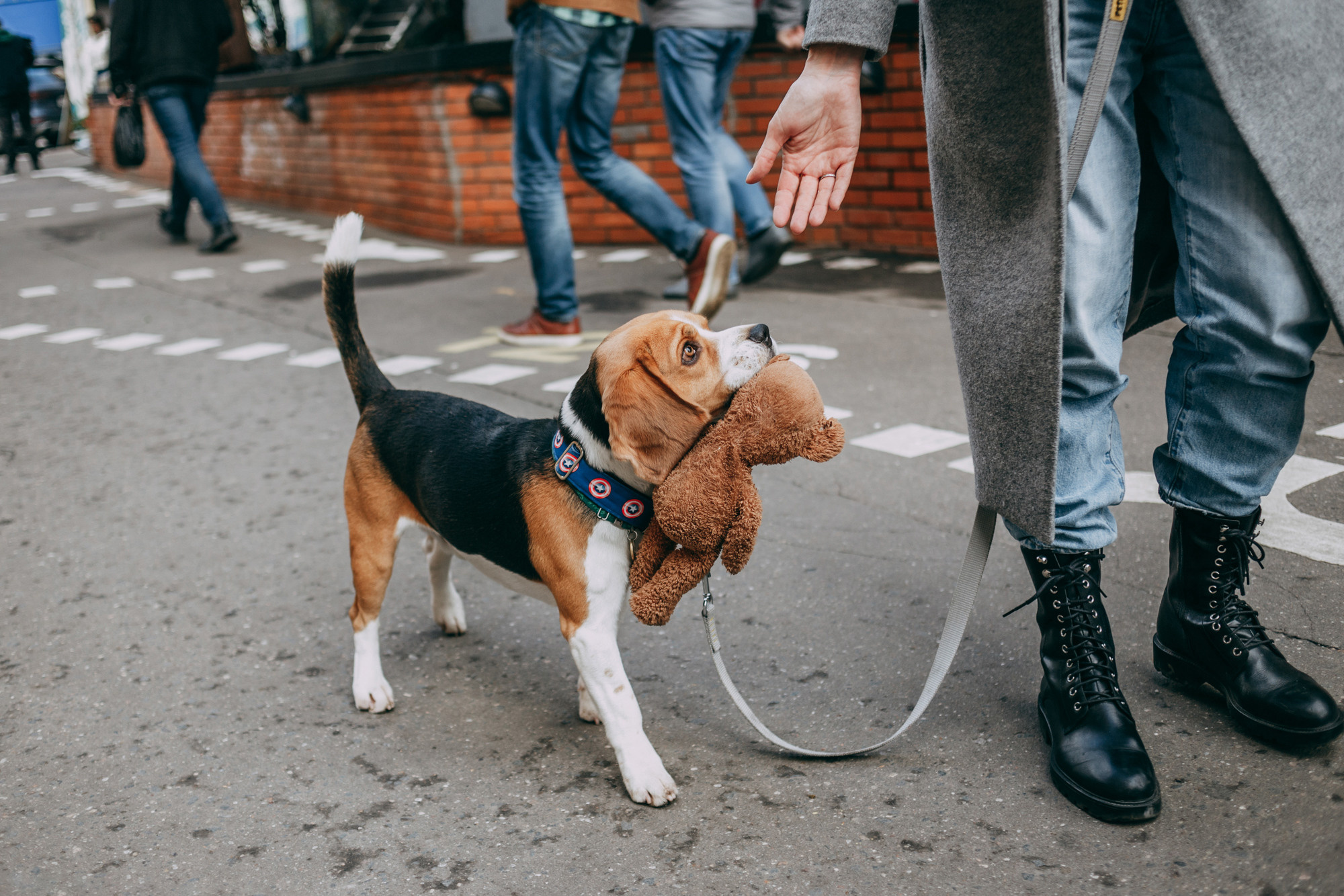 Марина и Дэй. Фотограф-анималист Елена Радченко, Москва
