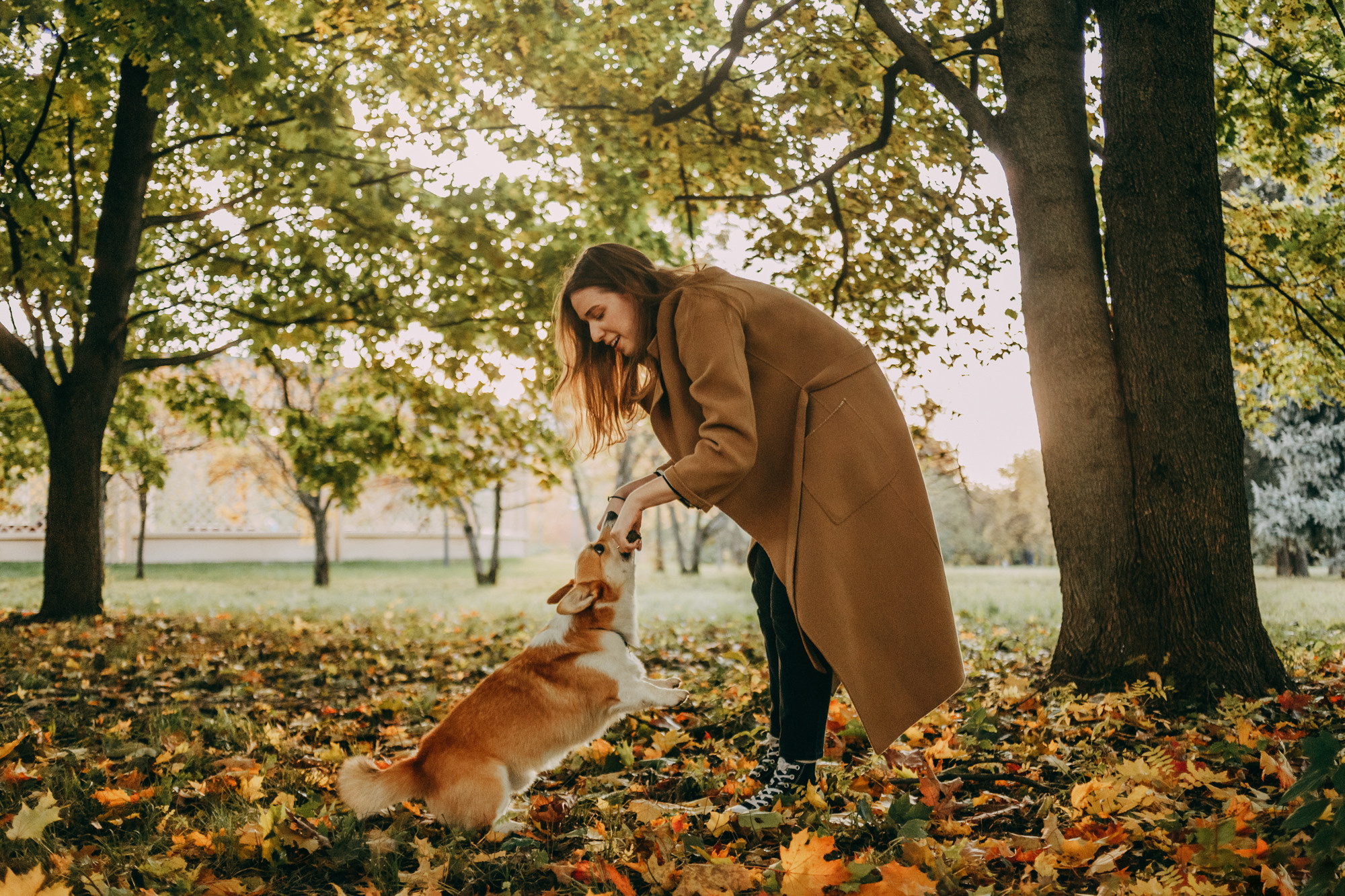 Настя и Пумба. Фотограф-анималист Елена Радченко, Москва
