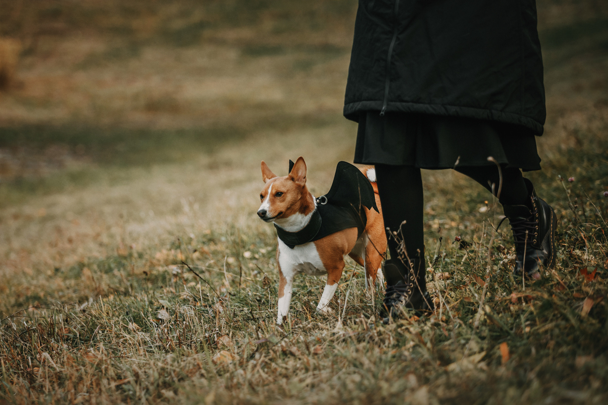 Мария и Рэд. Фотограф-анималист Елена Радченко, Москва