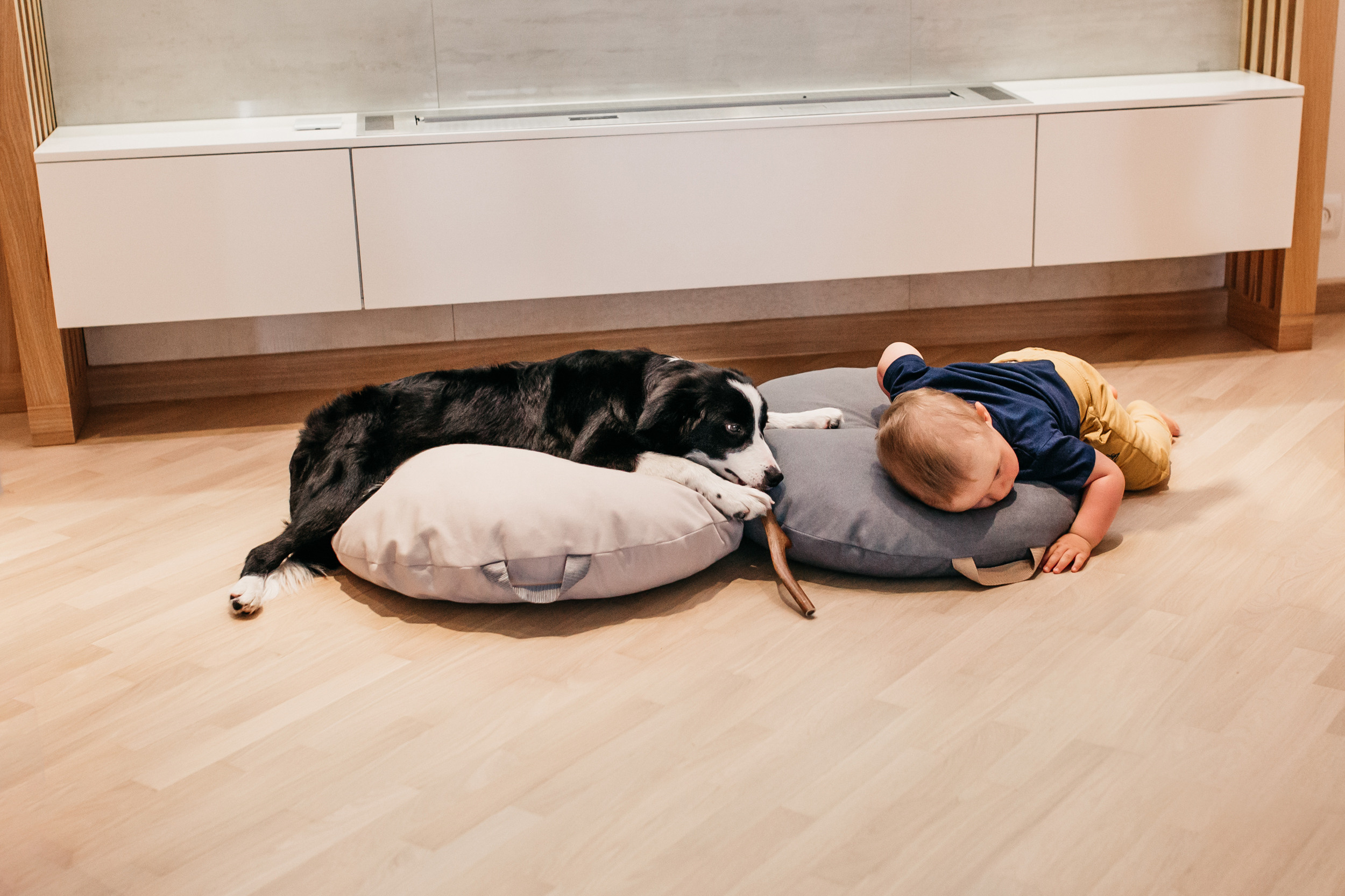 Магазин Bumbaboo. Фотограф-анималист Елена Радченко, Москва