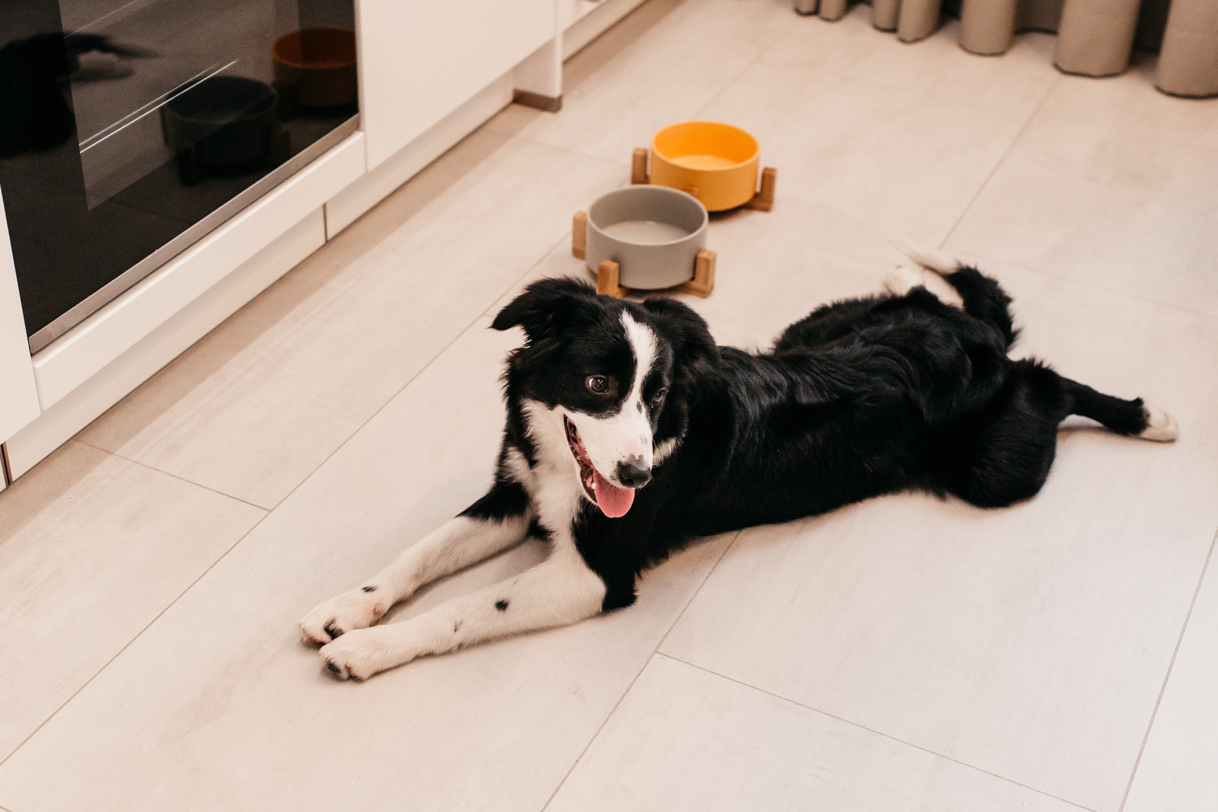 Магазин Bumbaboo. Фотограф-анималист Елена Радченко, Москва